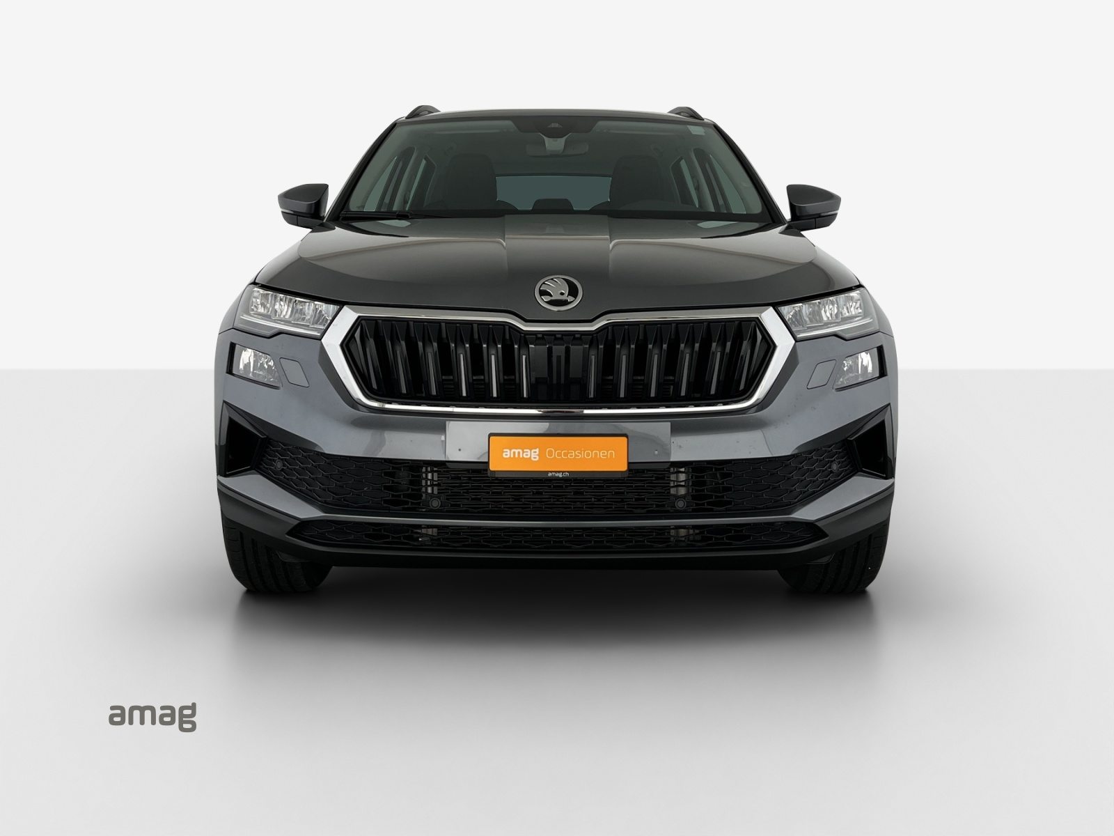 SKODA Karoq Selection, Diesel, Occasioni / Usate, Automatico - 7