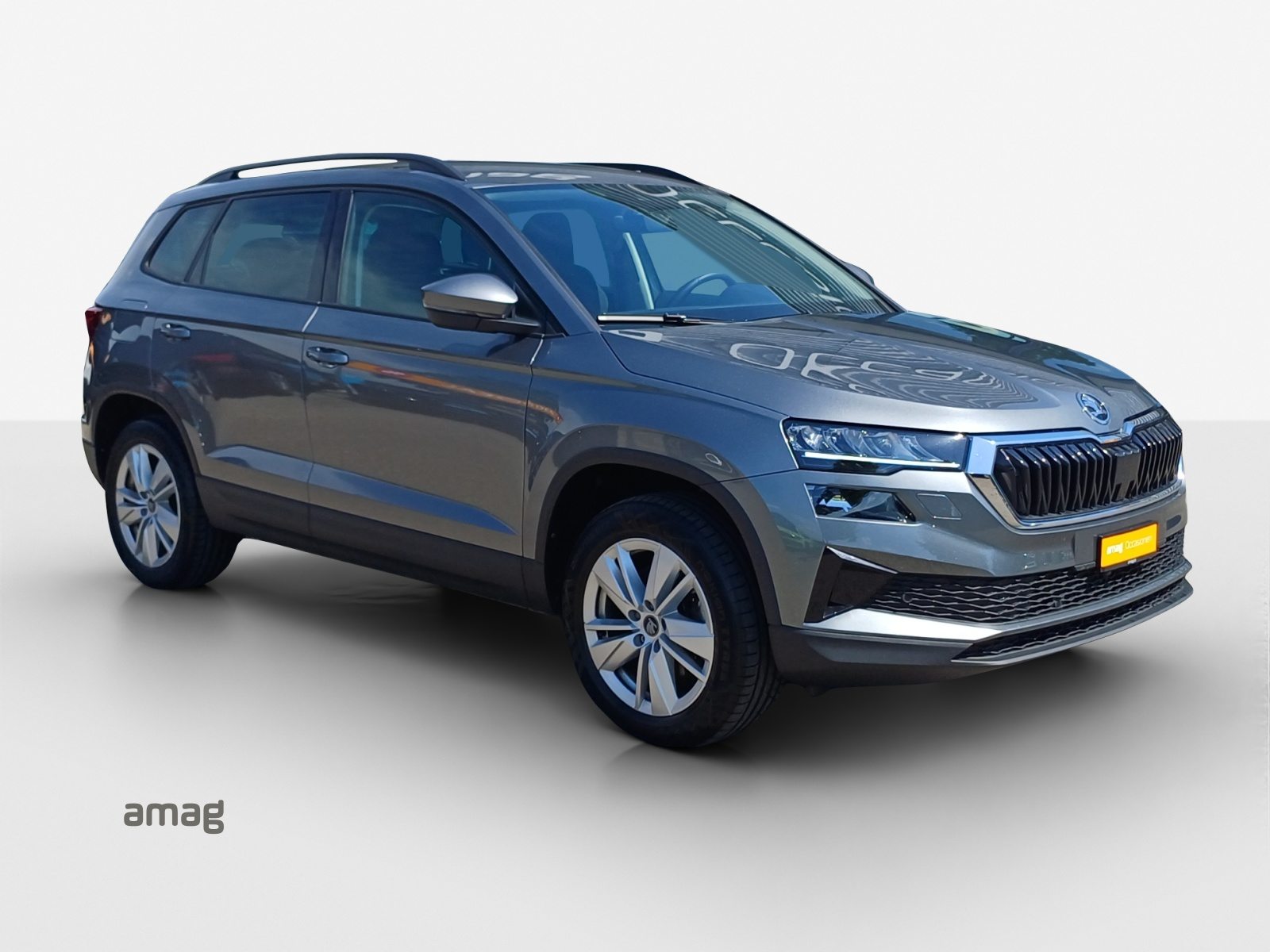 SKODA Karoq Selection, Diesel, Occasioni / Usate, Automatico - 6