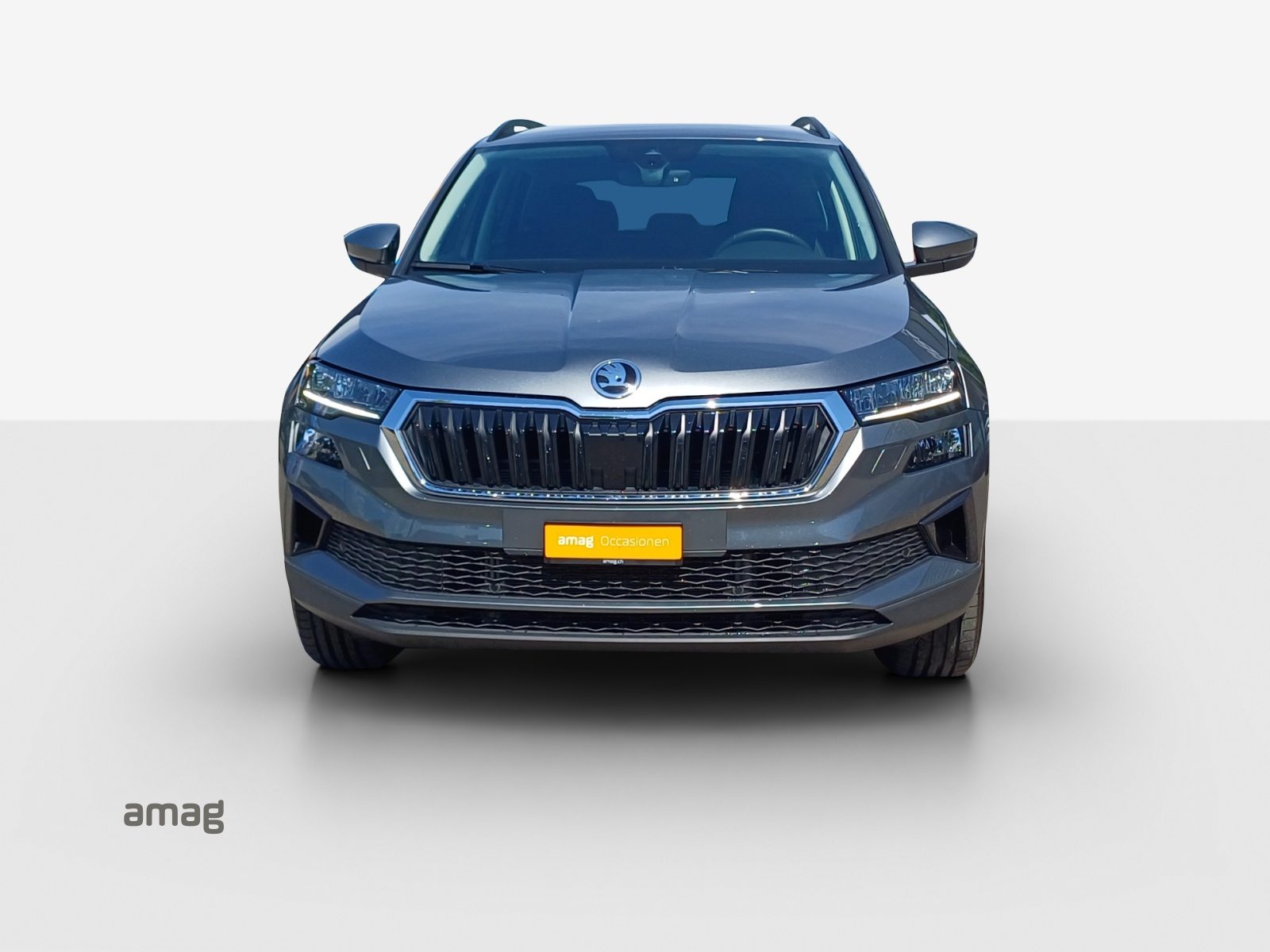 SKODA Karoq Selection, Diesel, Occasioni / Usate, Automatico - 7