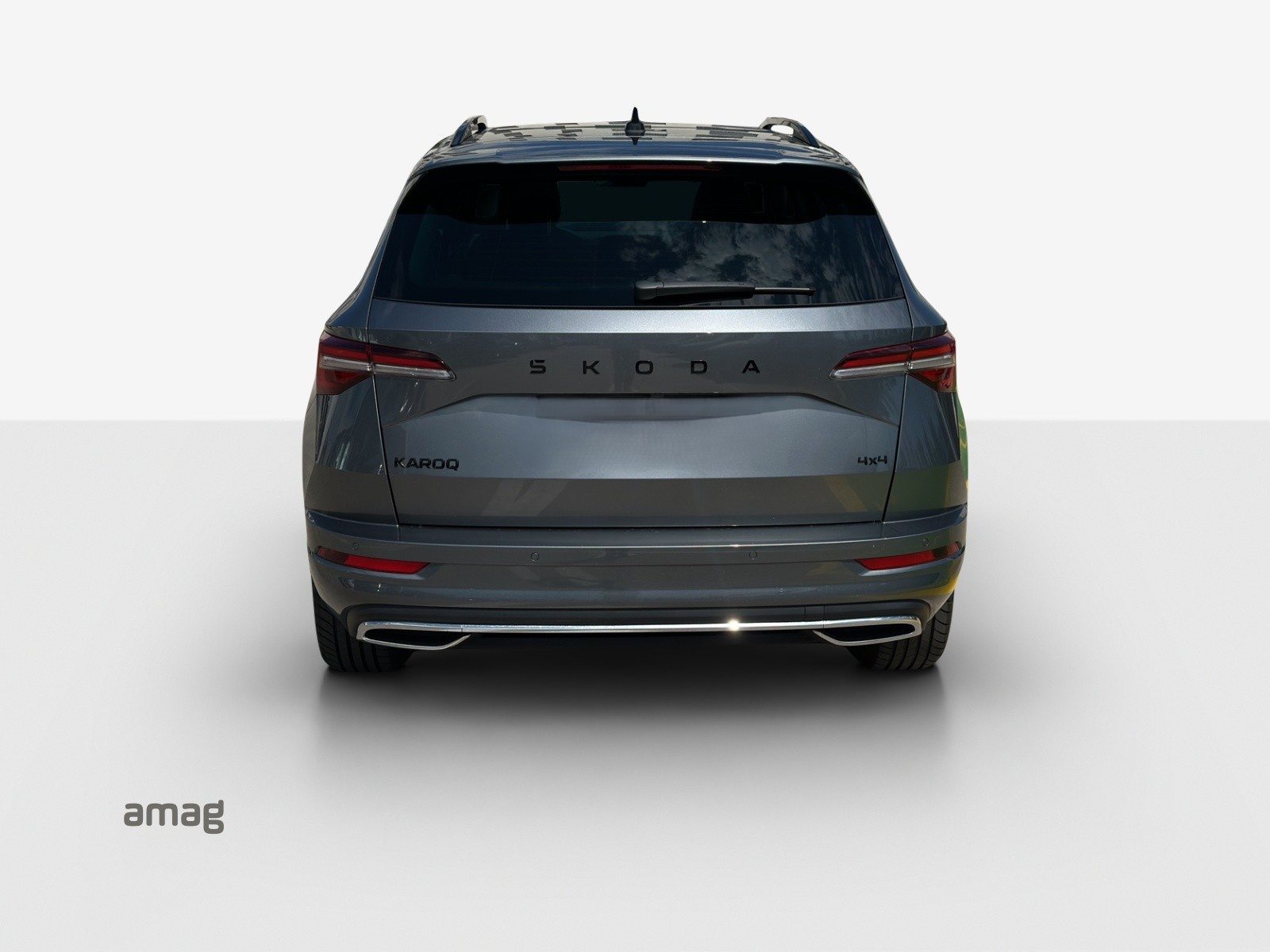 SKODA Karoq Sportline, Benzina, Occasioni / Usate, Automatico - 4