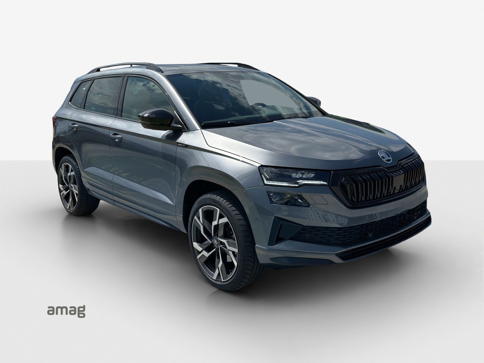 SKODA Karoq Sportline, Benzina, Occasioni / Usate, Automatico - 6