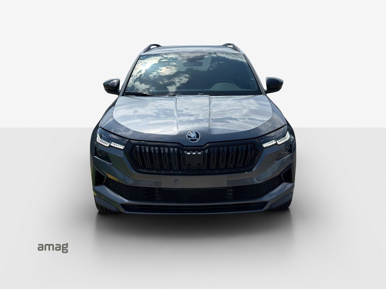 SKODA Karoq Sportline, Benzina, Occasioni / Usate, Automatico - 7
