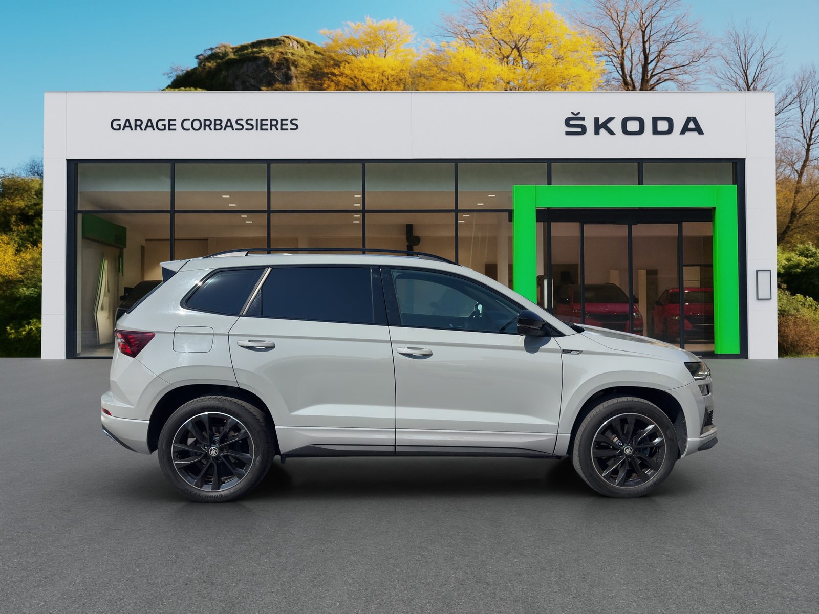 SKODA Karoq SportLine, Benzina, Occasioni / Usate, Automatico - 7