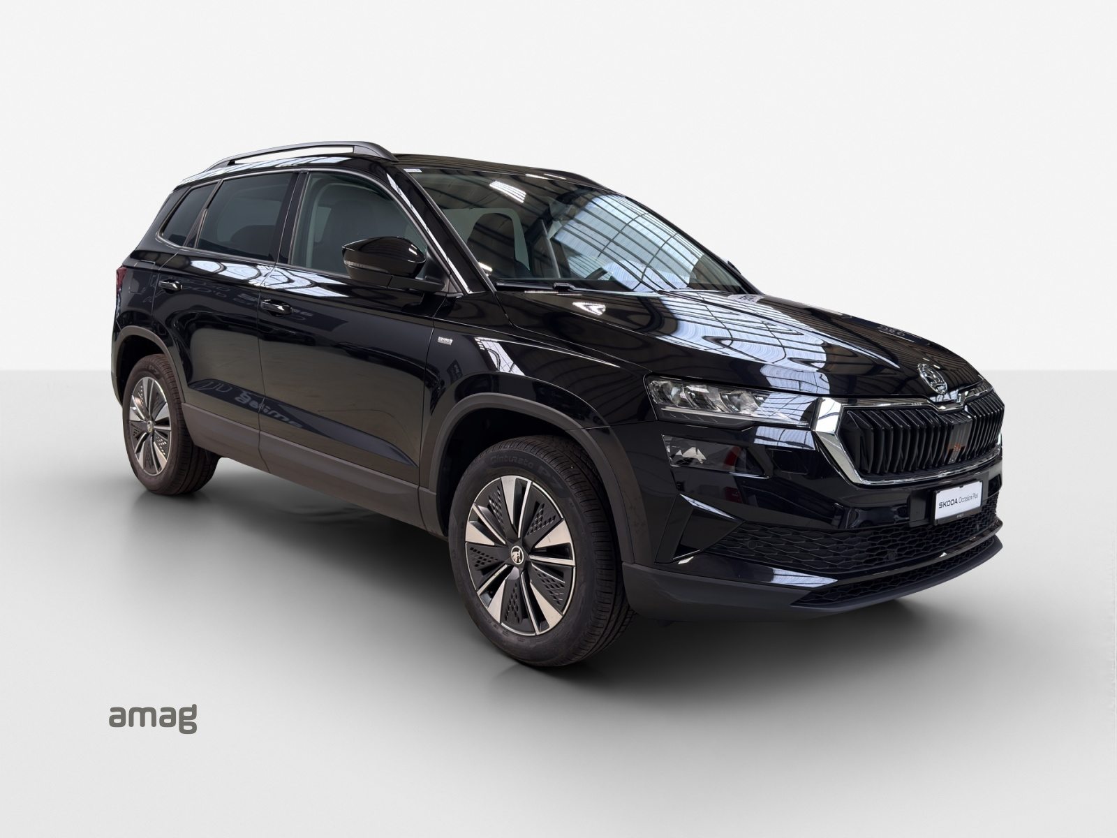 SKODA Karoq Tour (Netto), Diesel, Occasioni / Usate, Automatico - 6