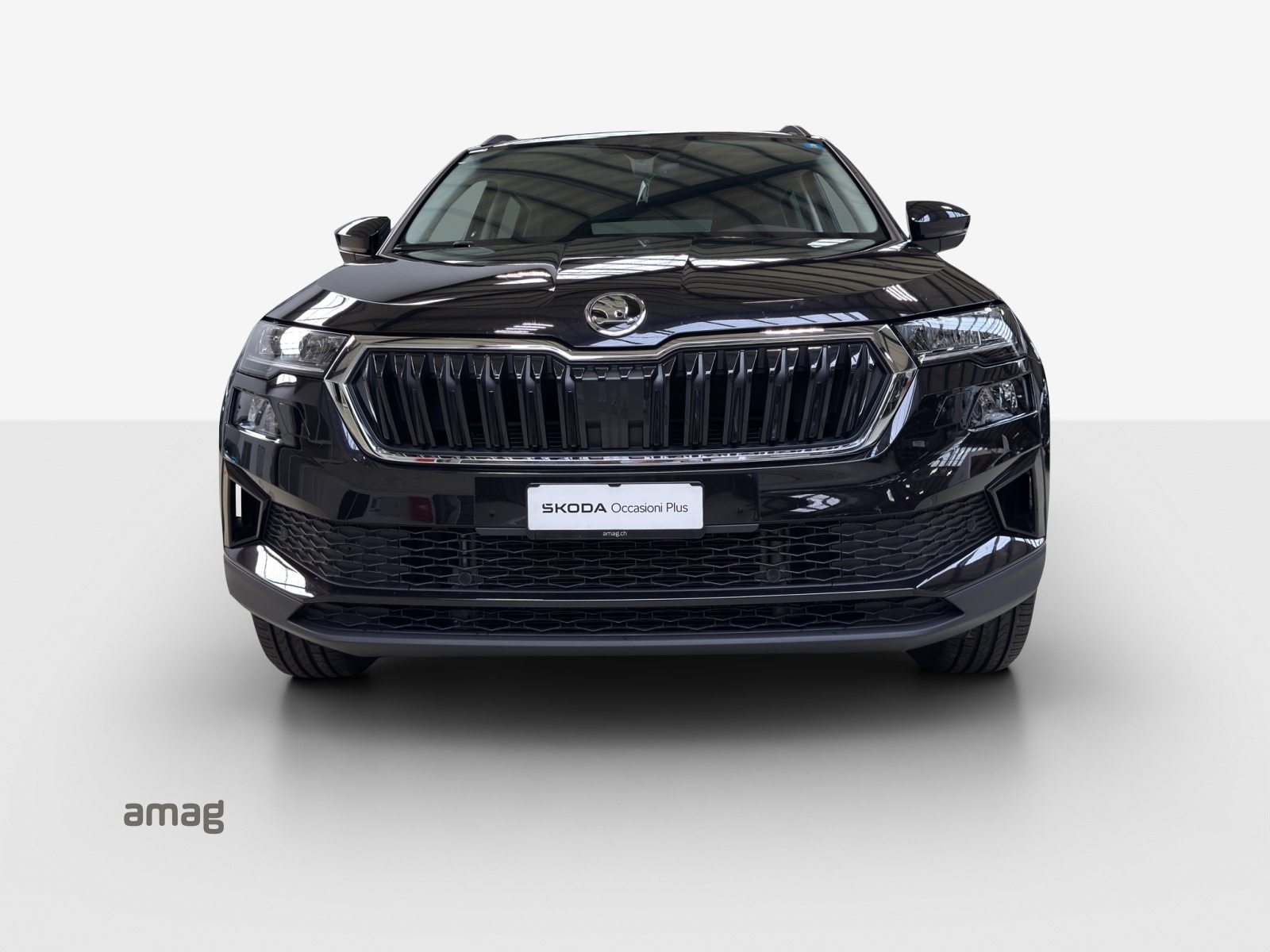 SKODA Karoq Tour (Netto), Diesel, Occasioni / Usate, Automatico - 7