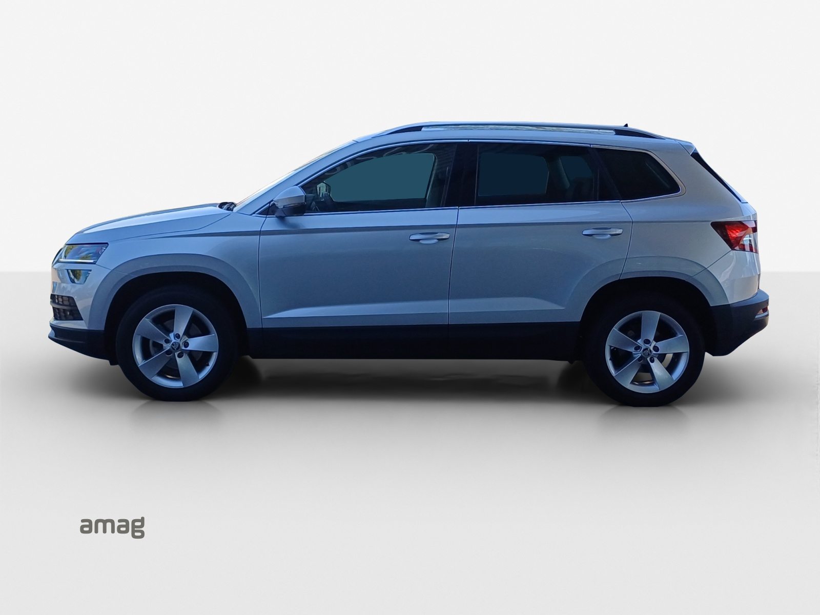 SKODA KAROQ Style, Benzina, Occasioni / Usate, Automatico - 2