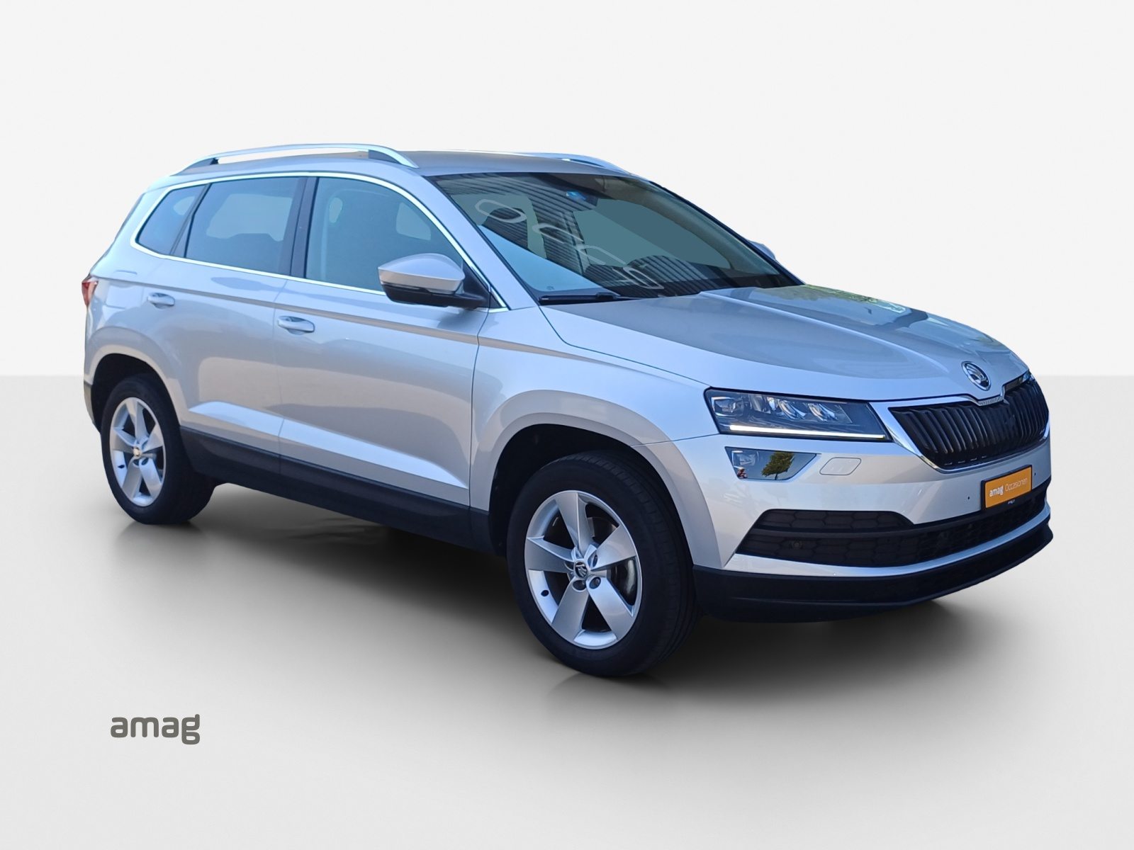 SKODA KAROQ Style, Benzina, Occasioni / Usate, Automatico - 6