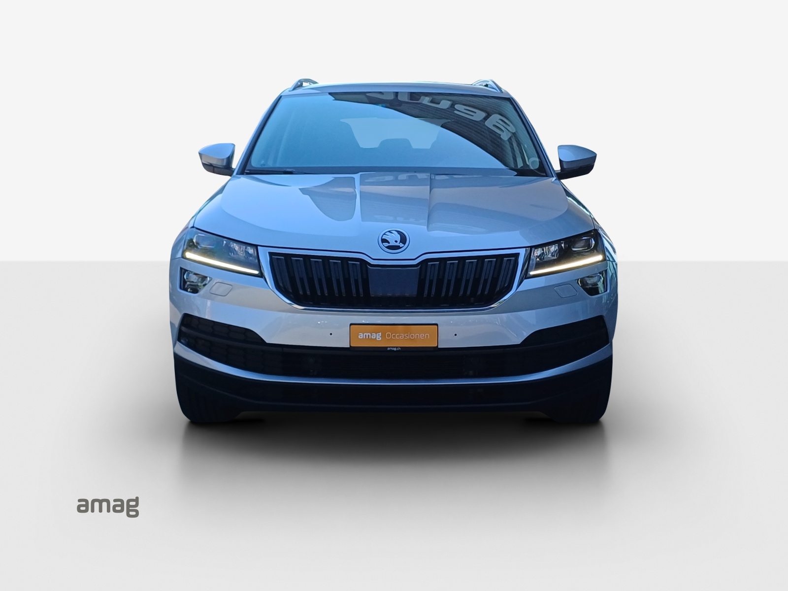 SKODA KAROQ Style, Benzina, Occasioni / Usate, Automatico - 7