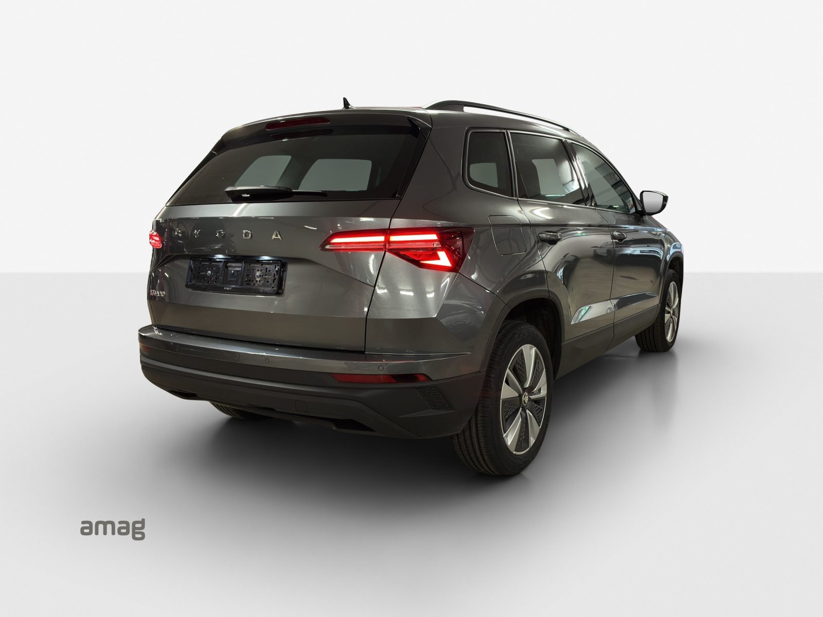 SKODA Karoq Ambition, Benzina, Occasioni / Usate, Automatico - 5