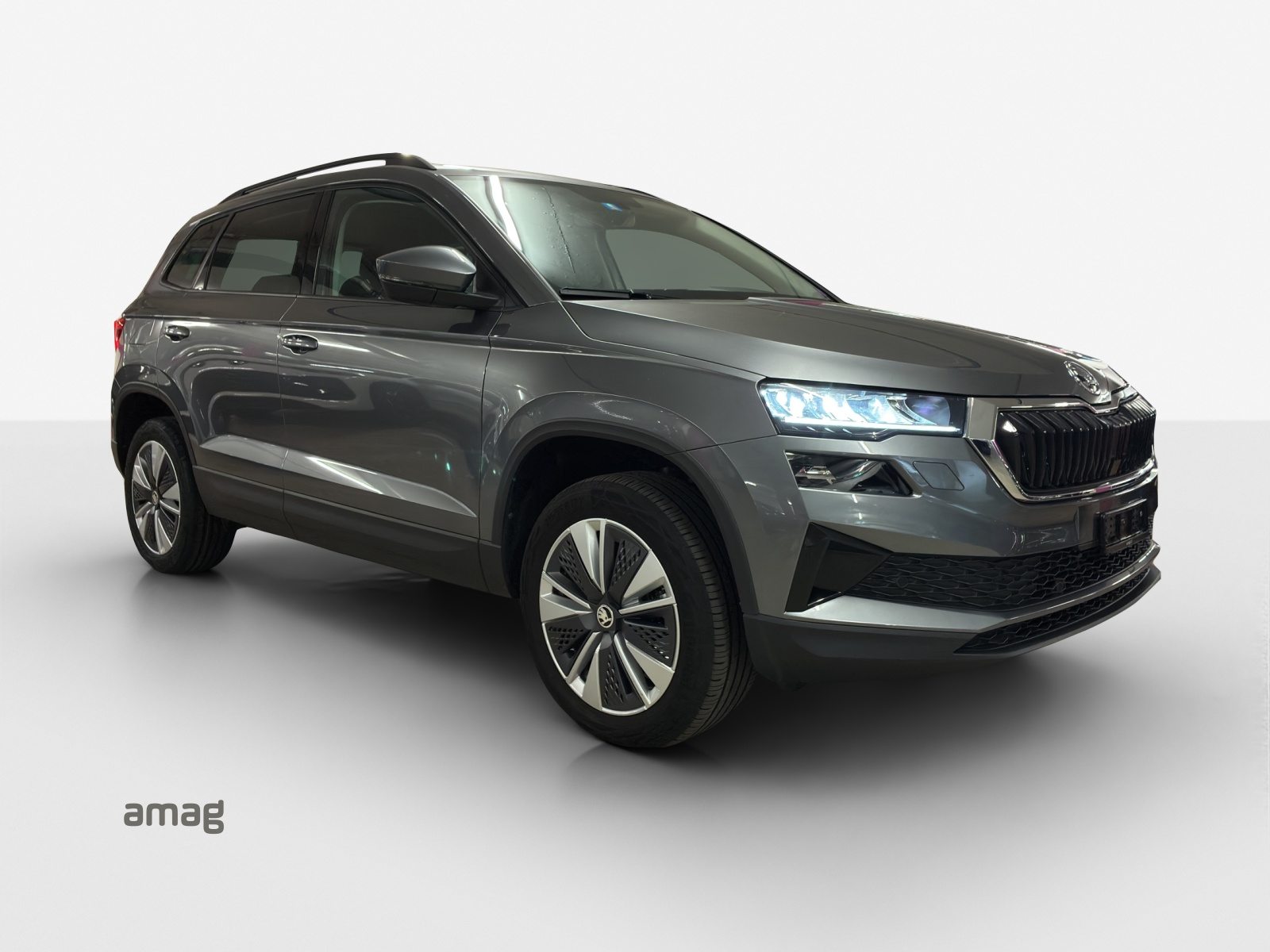 SKODA Karoq Ambition, Benzina, Occasioni / Usate, Automatico - 6