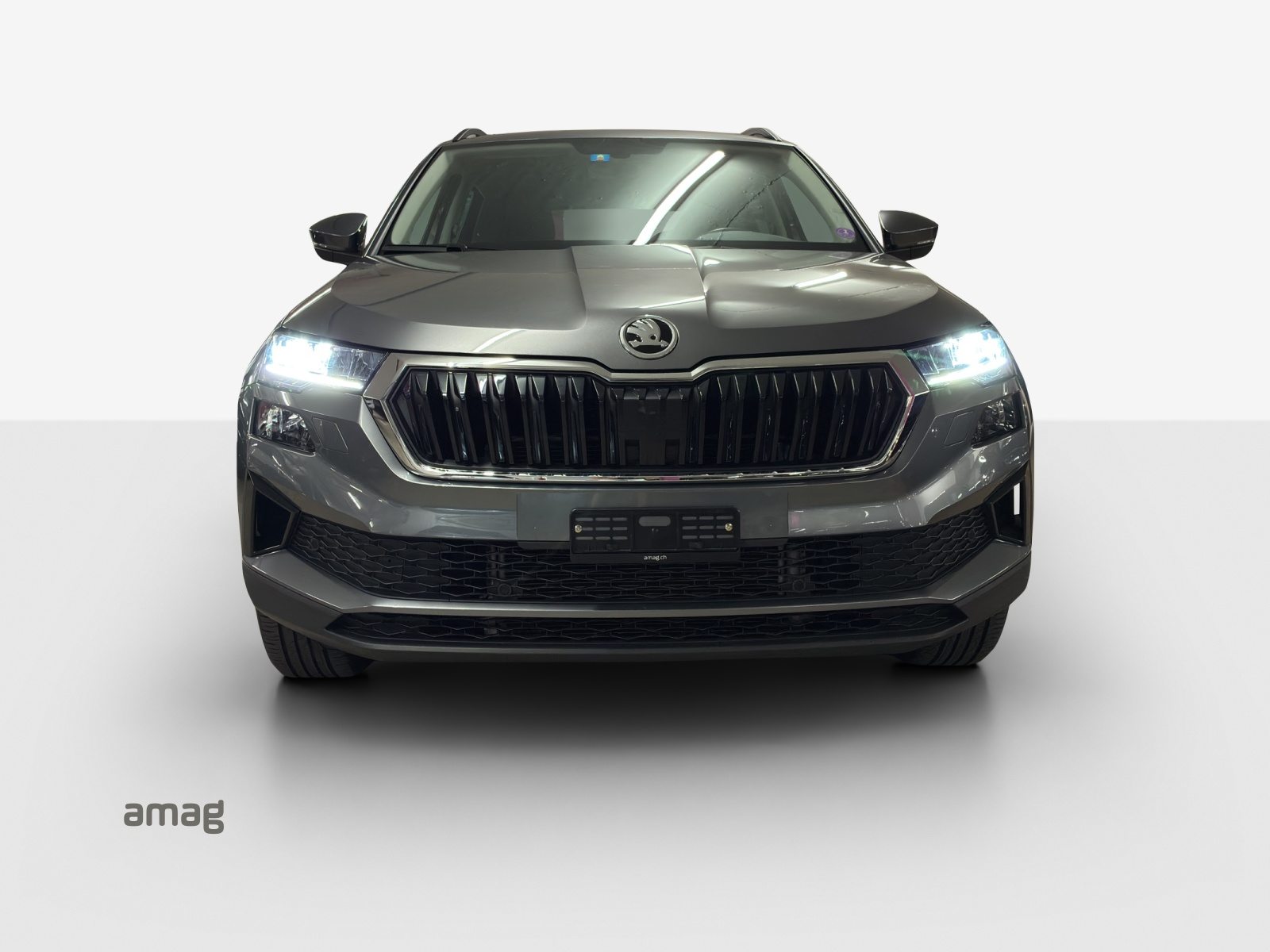 SKODA Karoq Ambition, Benzina, Occasioni / Usate, Automatico - 7