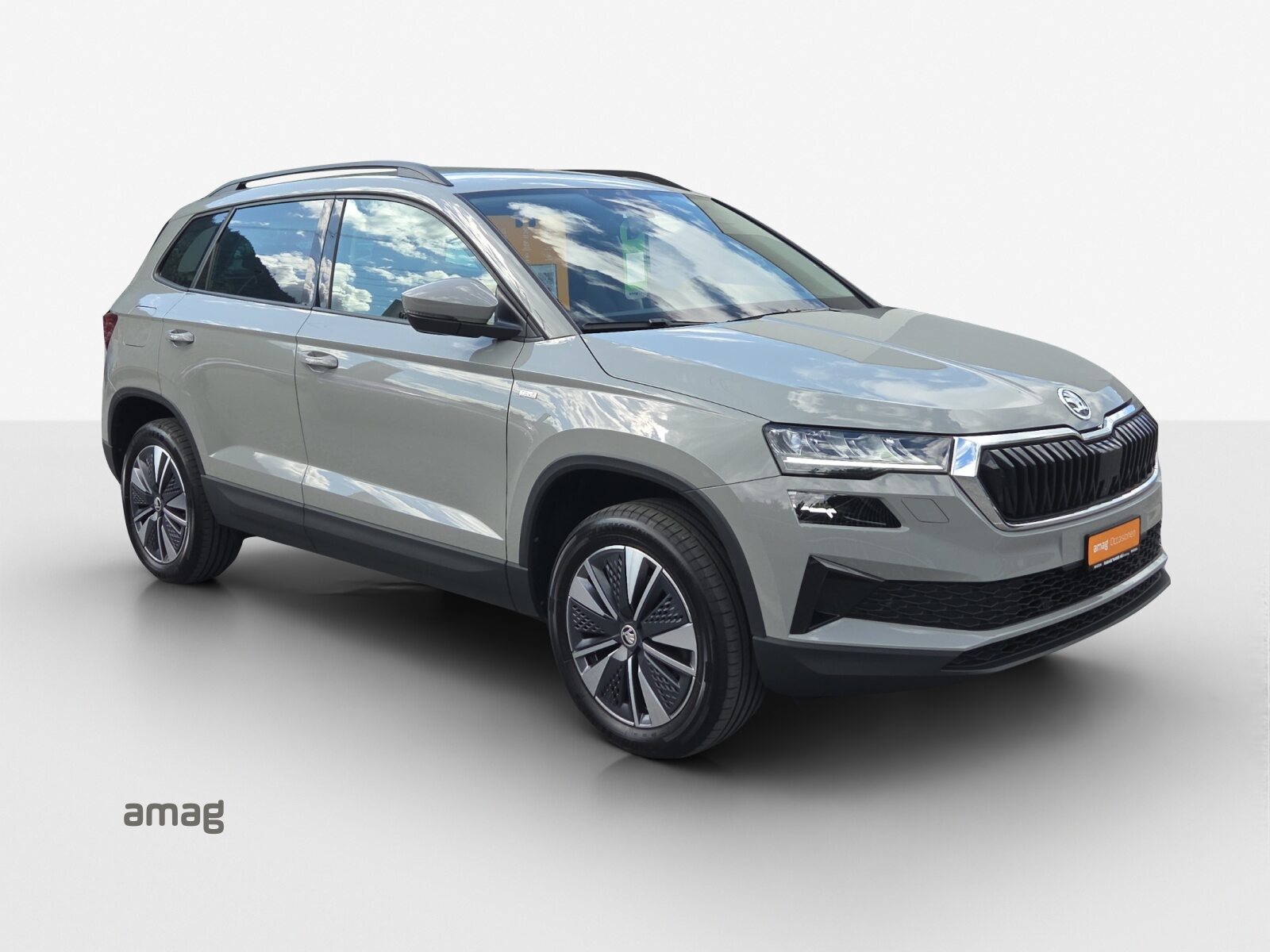 SKODA Karoq Tour (Netto), Petrol, Second hand / Used, Manual - 6