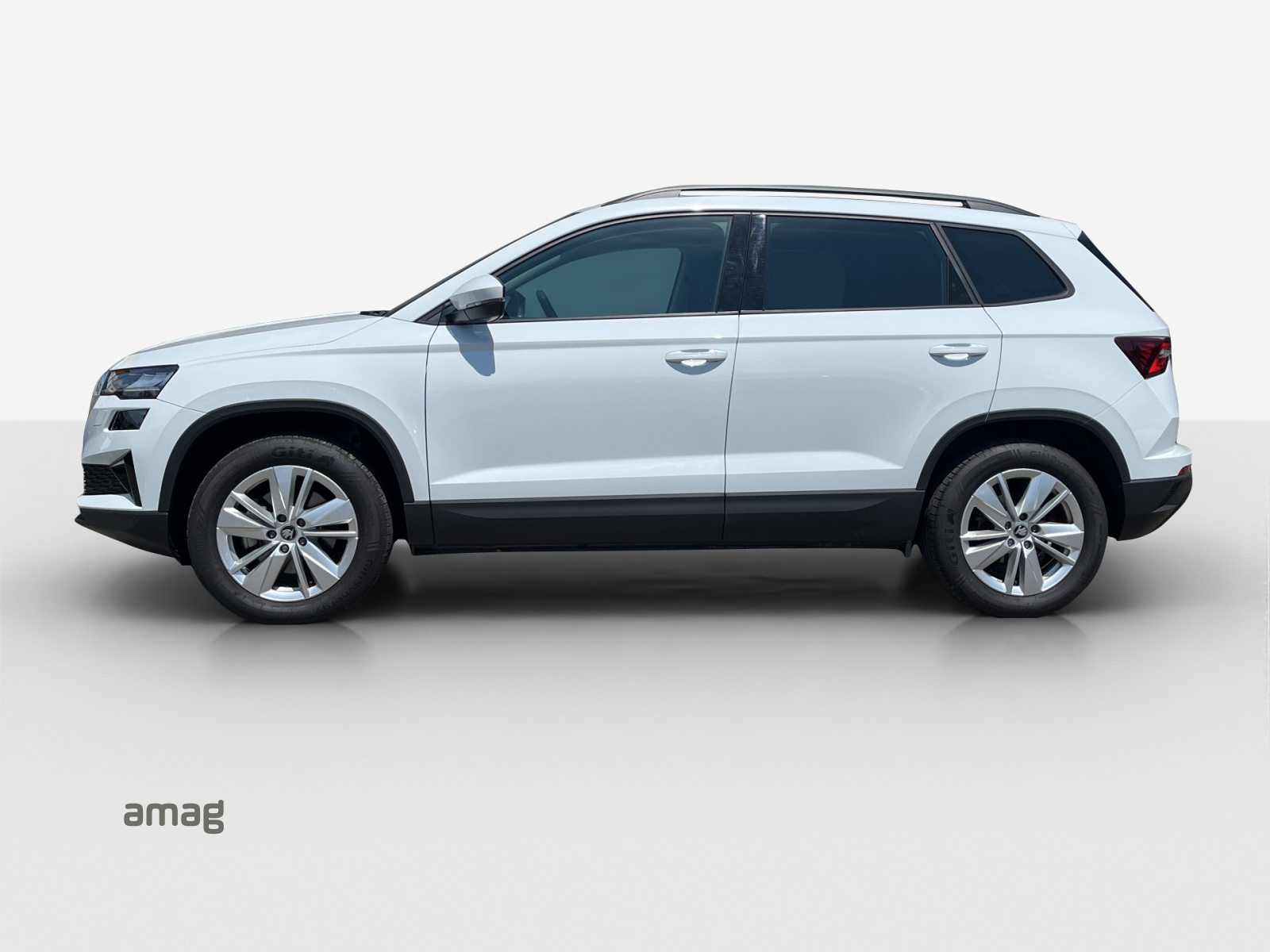 SKODA Karoq Selection, Diesel, Occasion / Utilisé, Automatique - 2