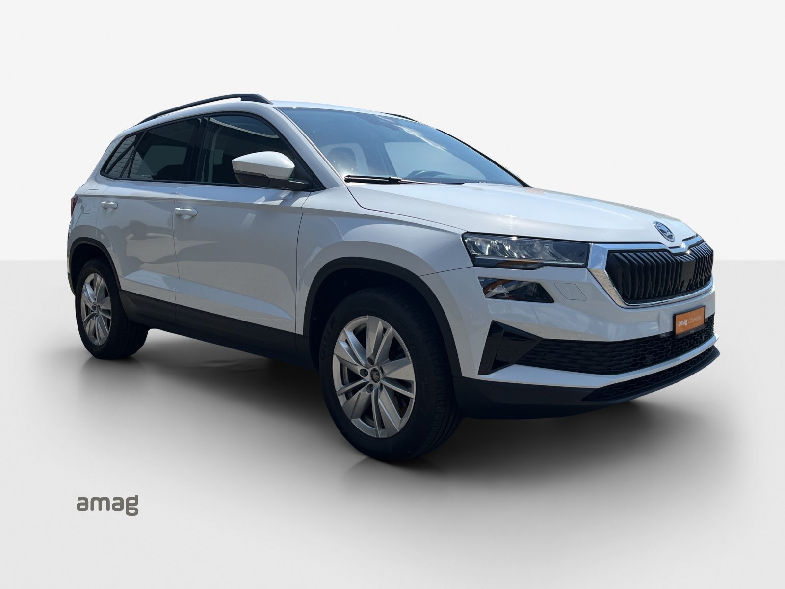 SKODA Karoq Selection, Diesel, Occasion / Utilisé, Automatique - 6