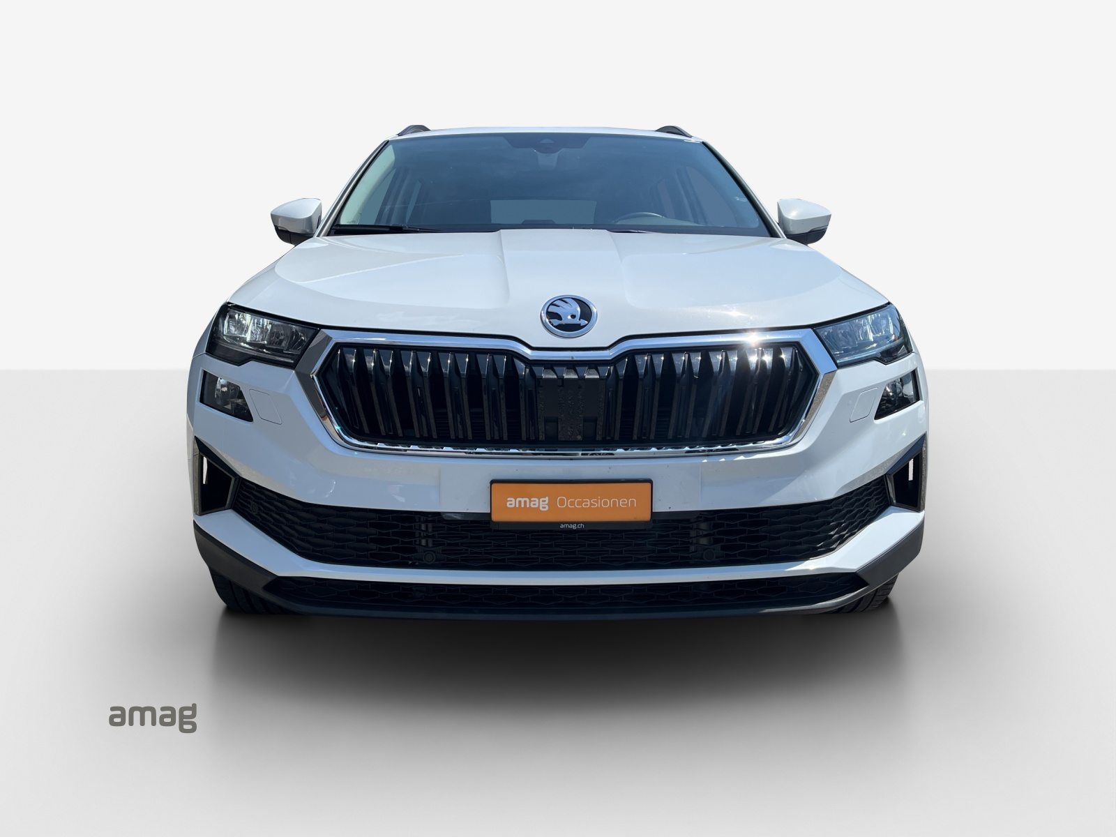 SKODA Karoq Selection, Diesel, Occasion / Utilisé, Automatique - 7