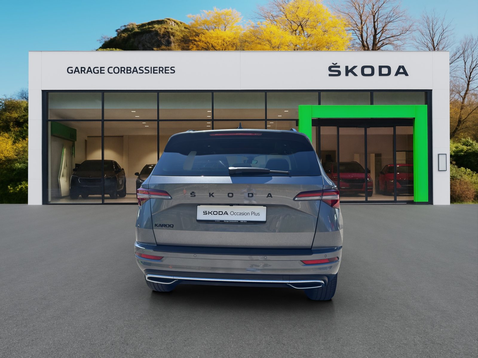 SKODA NEW KAROQ SportLine, Benzina, Occasioni / Usate, Automatico - 5