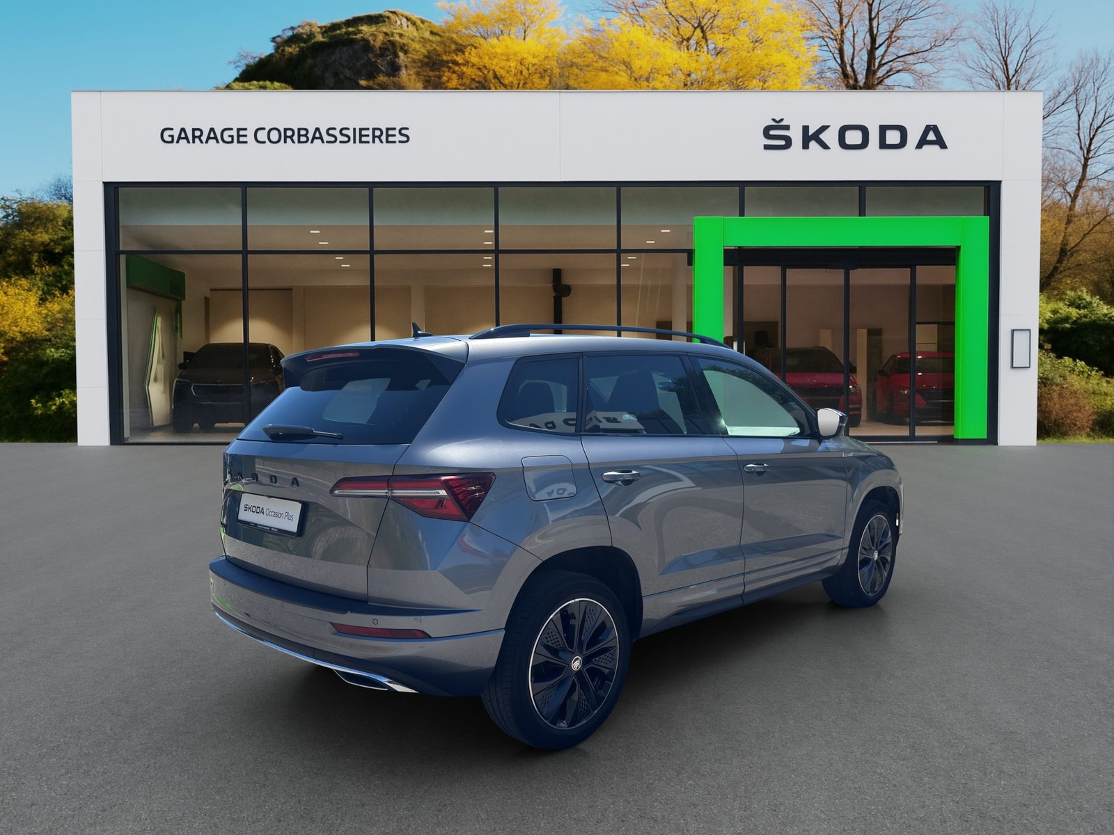 SKODA NEW KAROQ SportLine, Benzina, Occasioni / Usate, Automatico - 6