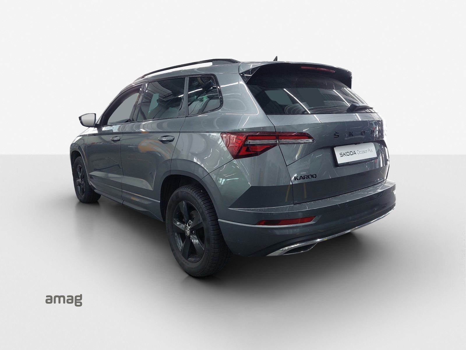 SKODA NEW KAROQ SportLine, Benzina, Occasioni / Usate, Automatico - 3