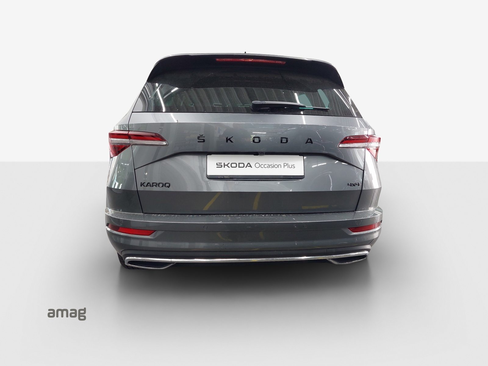 SKODA NEW KAROQ SportLine, Benzina, Occasioni / Usate, Automatico - 4