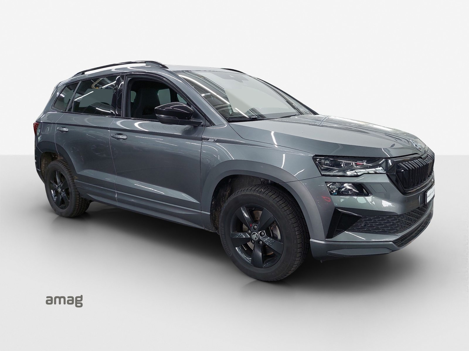 SKODA NEW KAROQ SportLine, Benzina, Occasioni / Usate, Automatico - 6