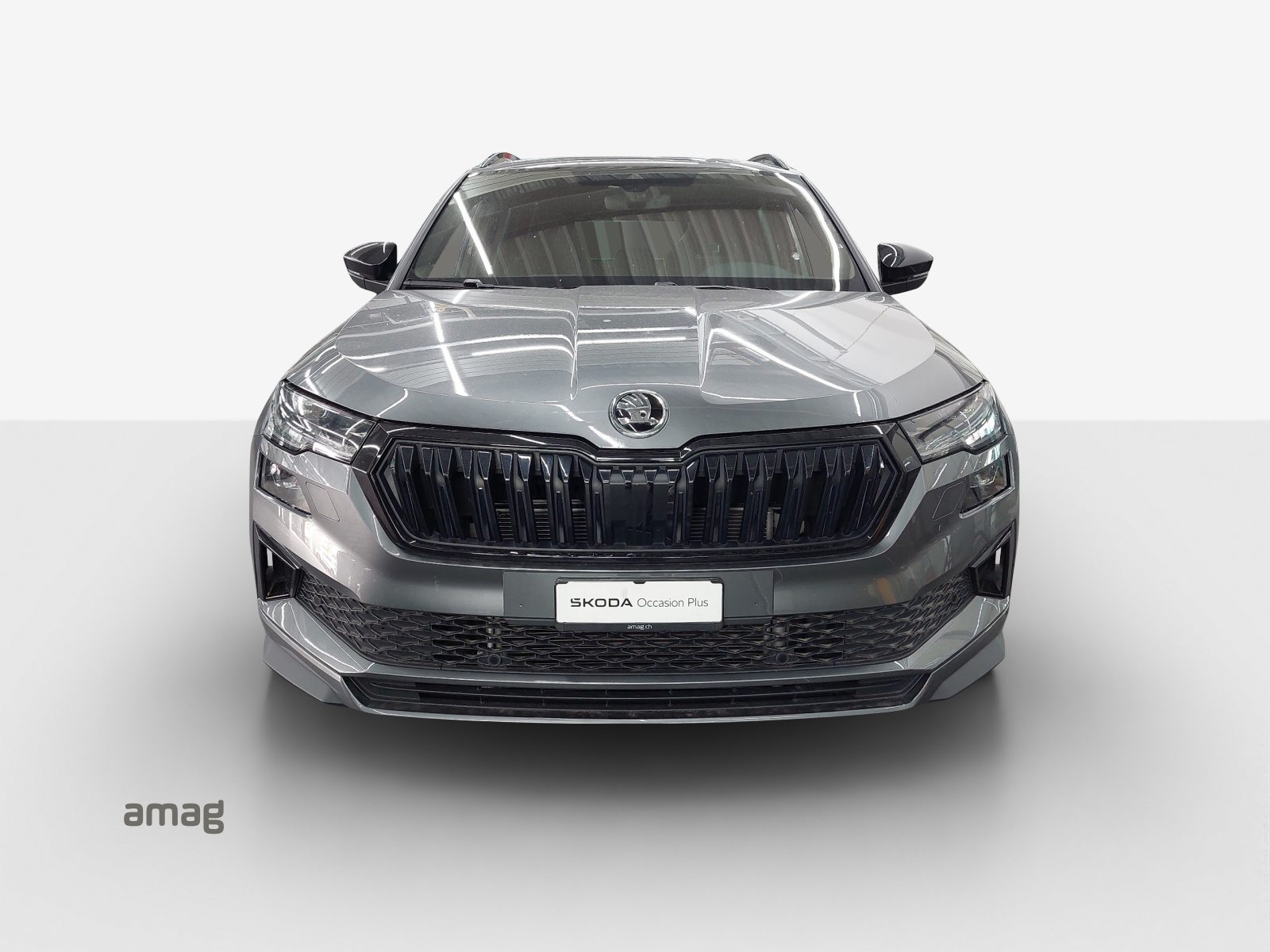 SKODA NEW KAROQ SportLine, Benzina, Occasioni / Usate, Automatico - 7