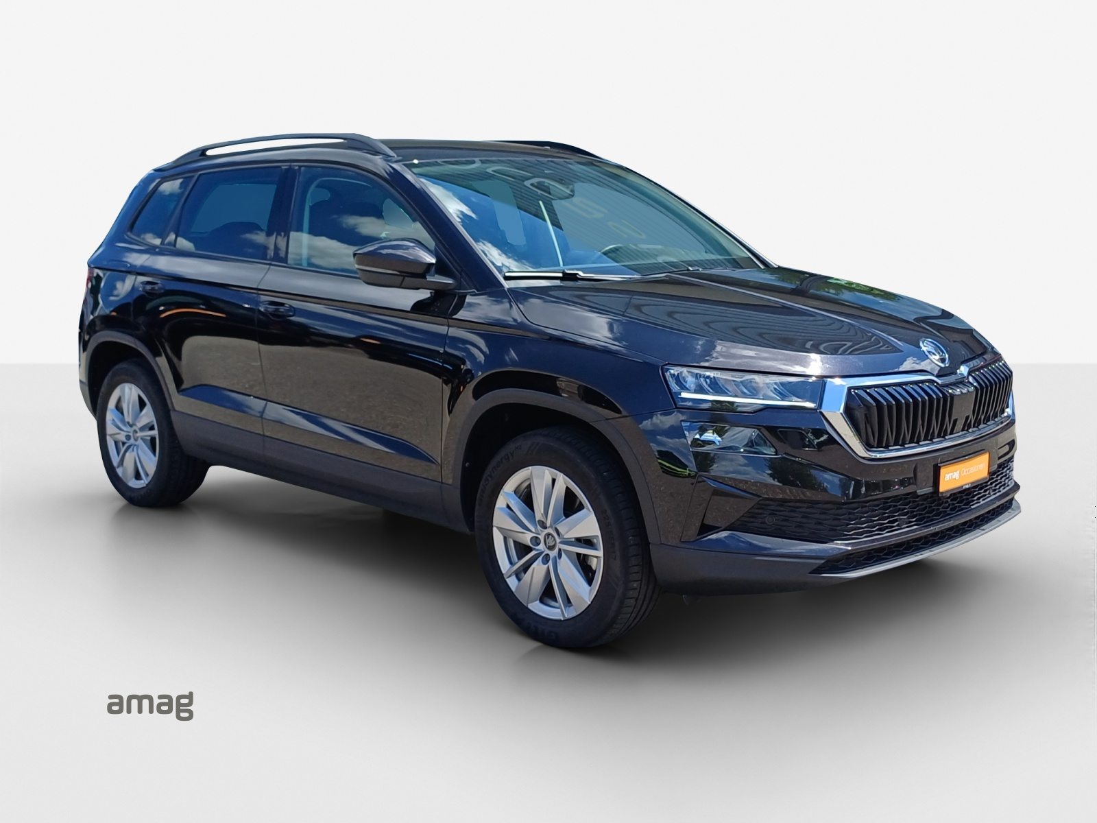 SKODA Karoq Selection, Diesel, Occasioni / Usate, Automatico - 6