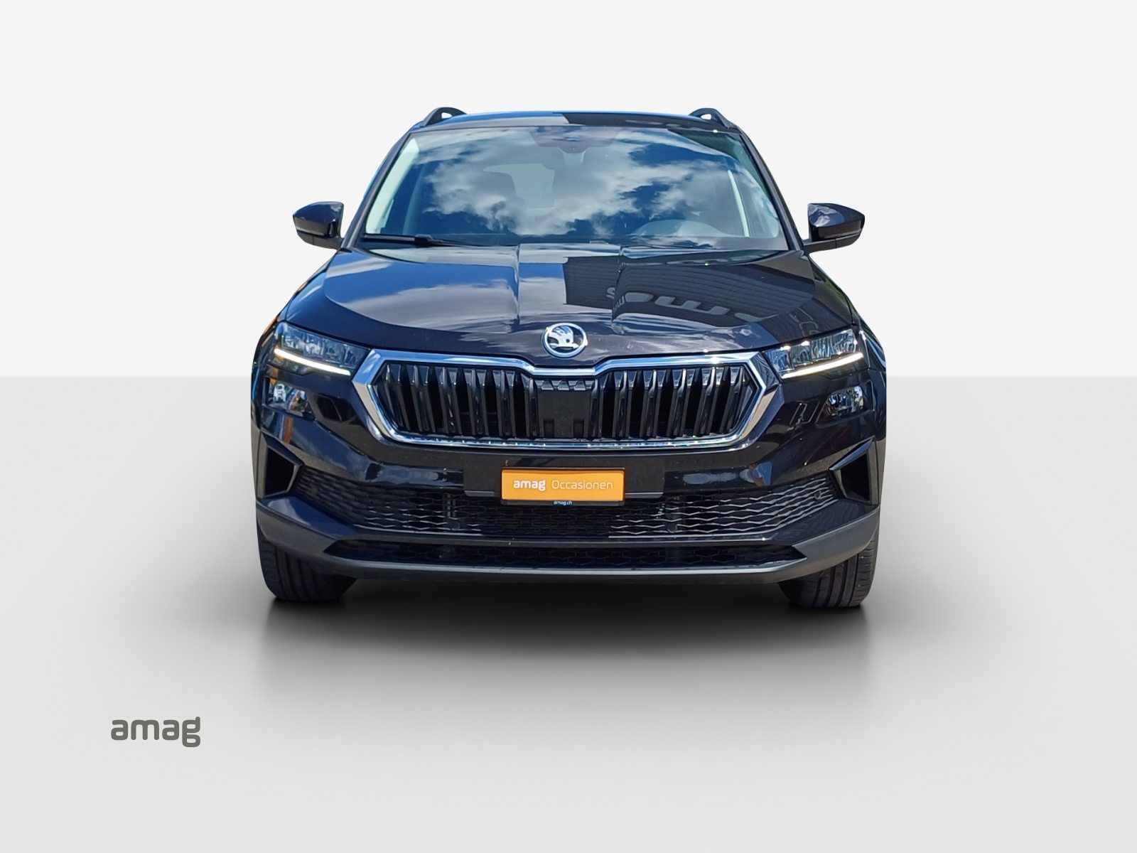 SKODA Karoq Selection, Diesel, Occasioni / Usate, Automatico - 7