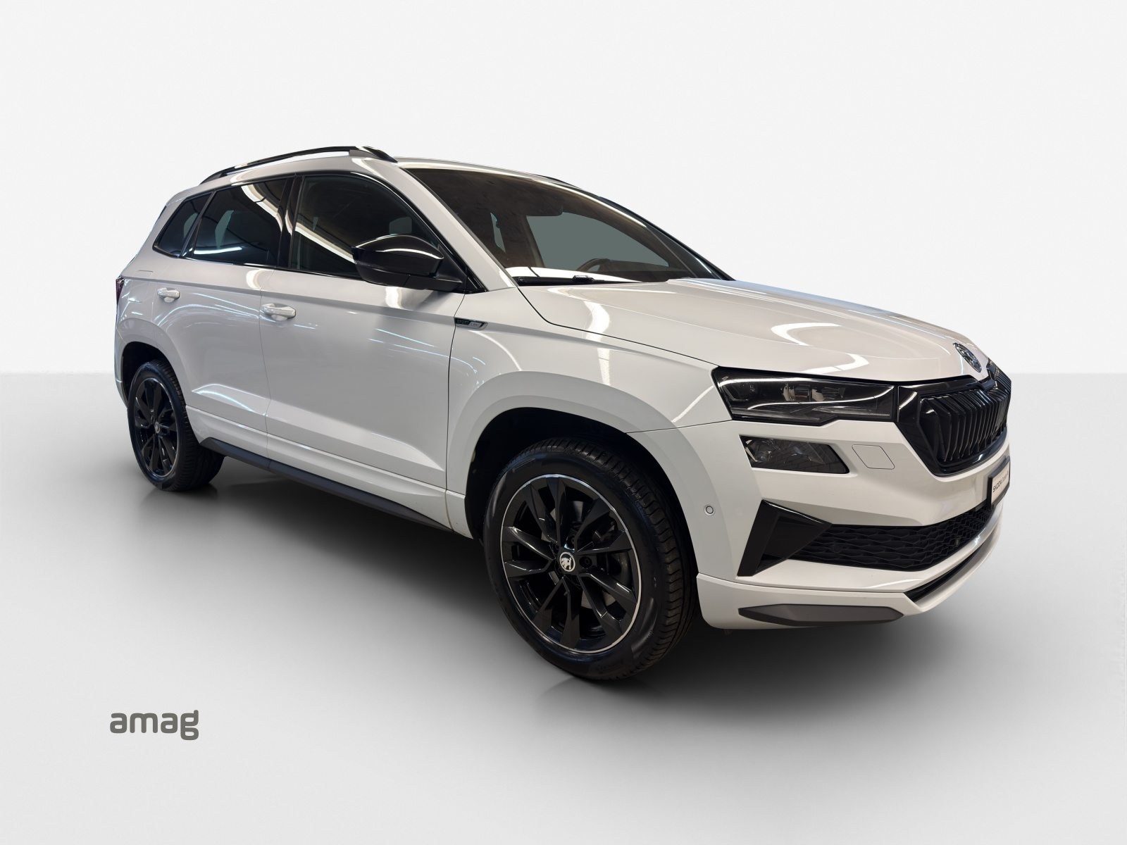 SKODA Karoq SportLine, Diesel, Occasioni / Usate, Automatico - 6