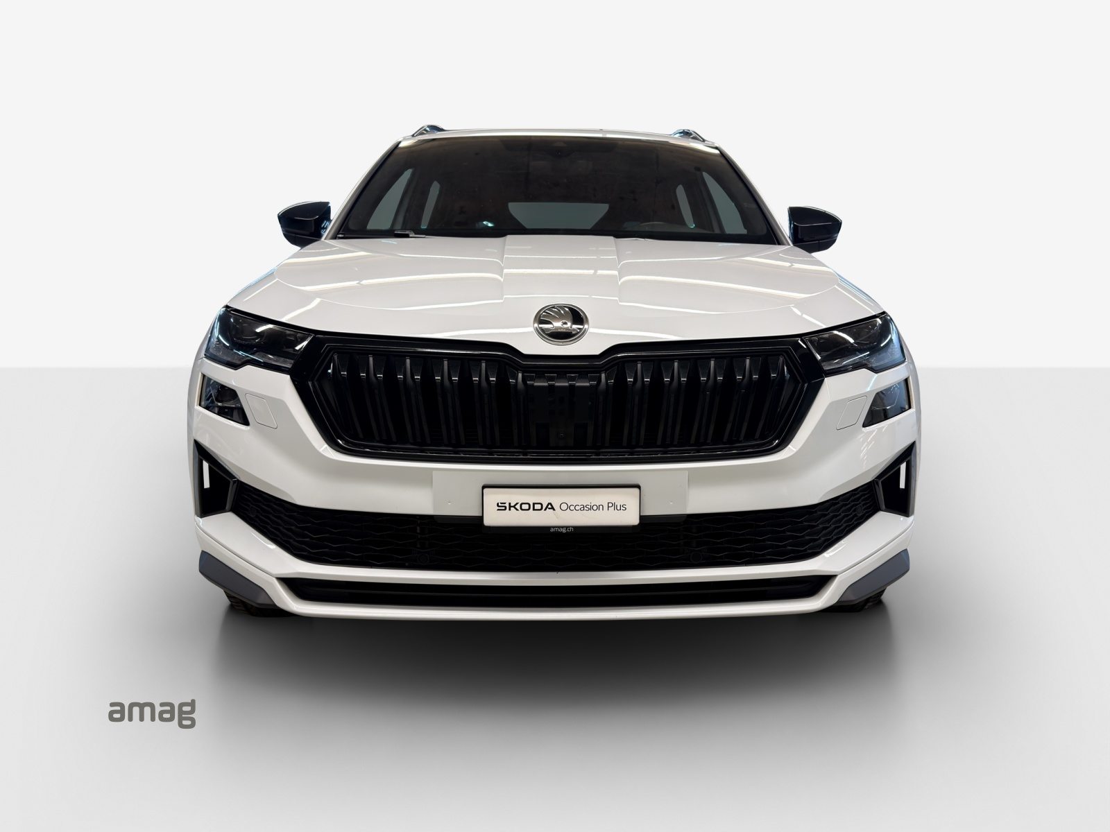 SKODA Karoq SportLine, Diesel, Occasioni / Usate, Automatico - 7