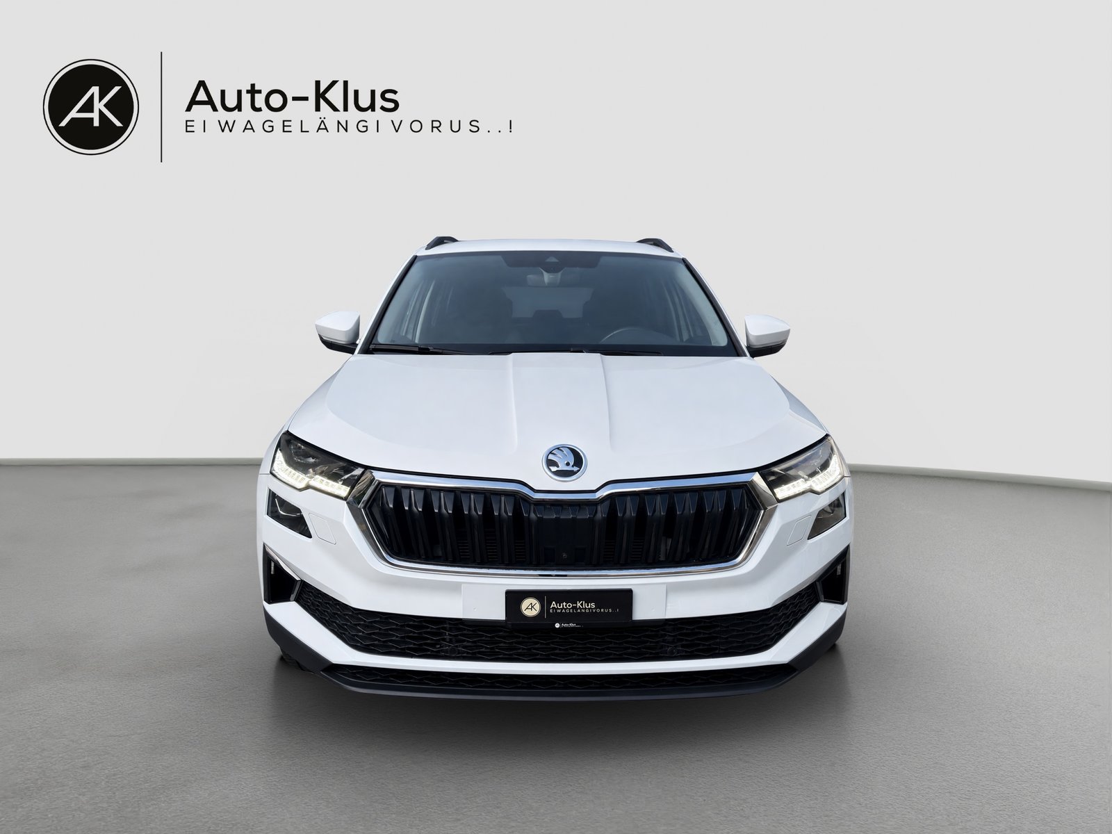 SKODA Karoq 2.0 TDI CR Ambition 4x4 DSG, Diesel, Occasion / Gebraucht, Automatik