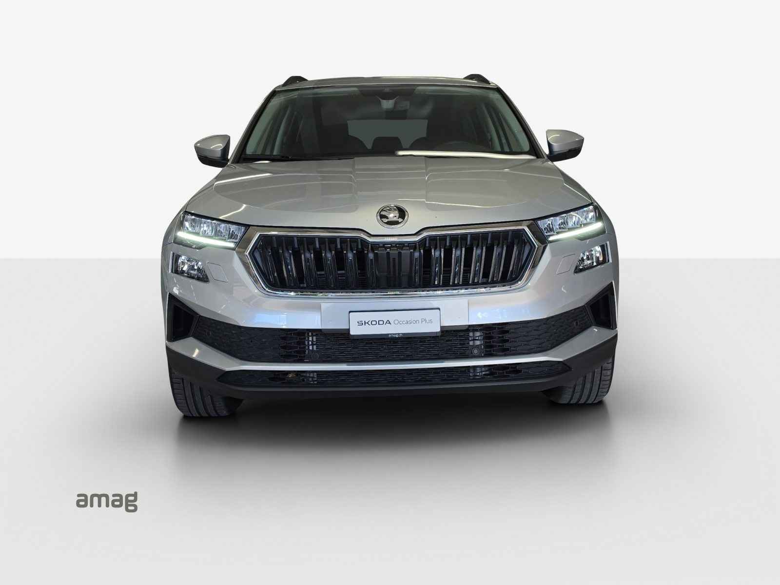 SKODA Karoq Selection, Diesel, Second hand / Used, Automatic - 7