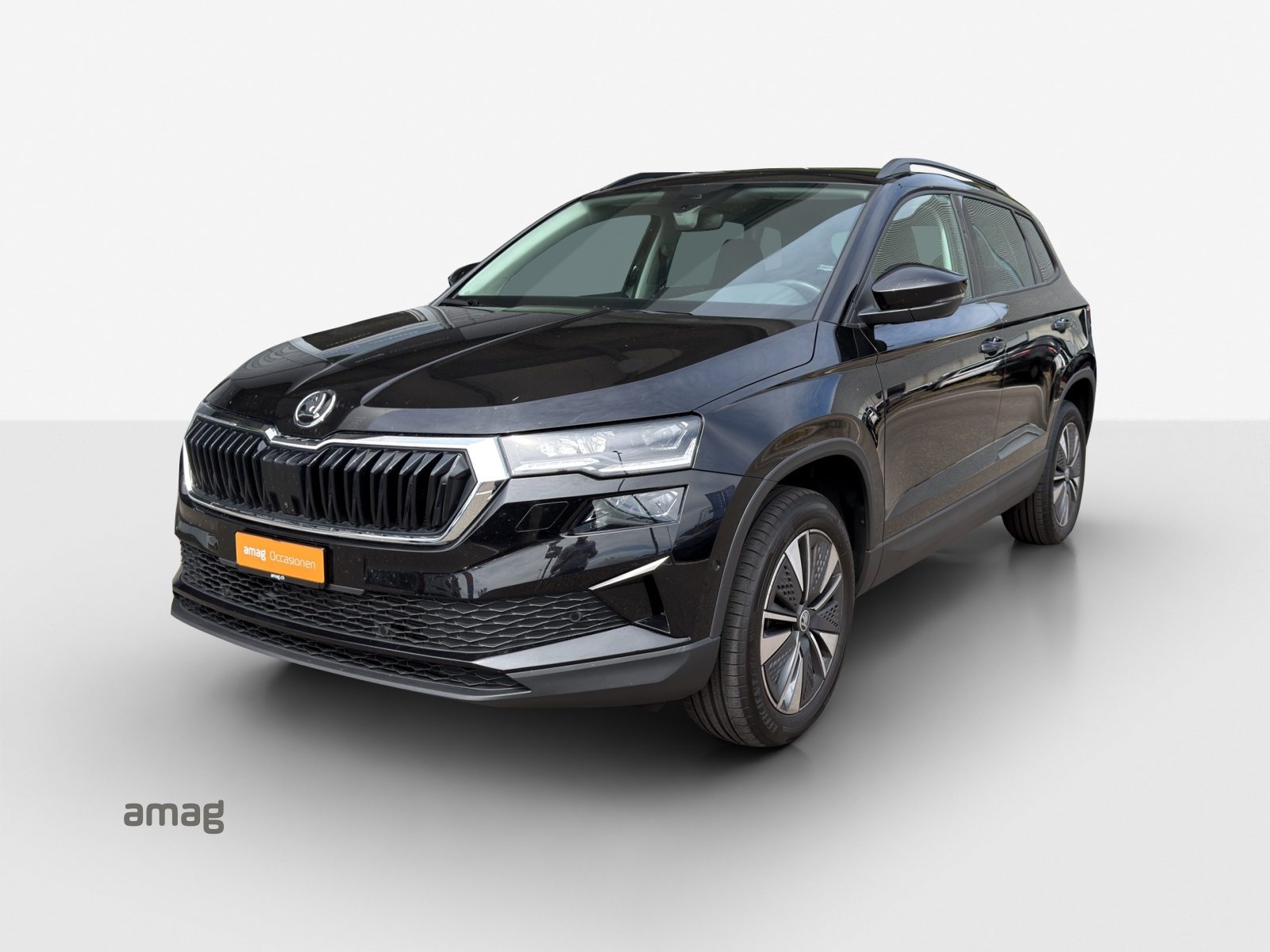 SKODA Karoq Dynamic (Netto)