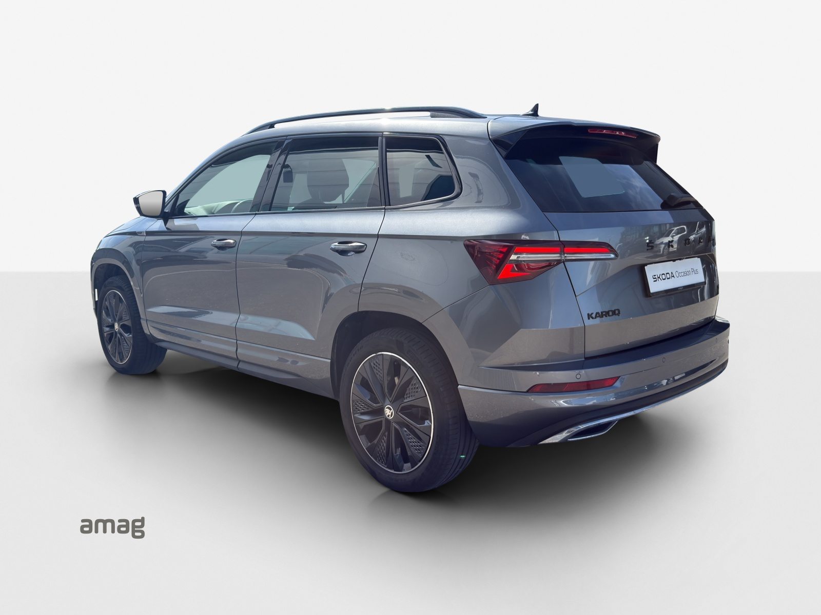 SKODA NEW KAROQ SportLine, Benzina, Occasioni / Usate, Automatico - 3