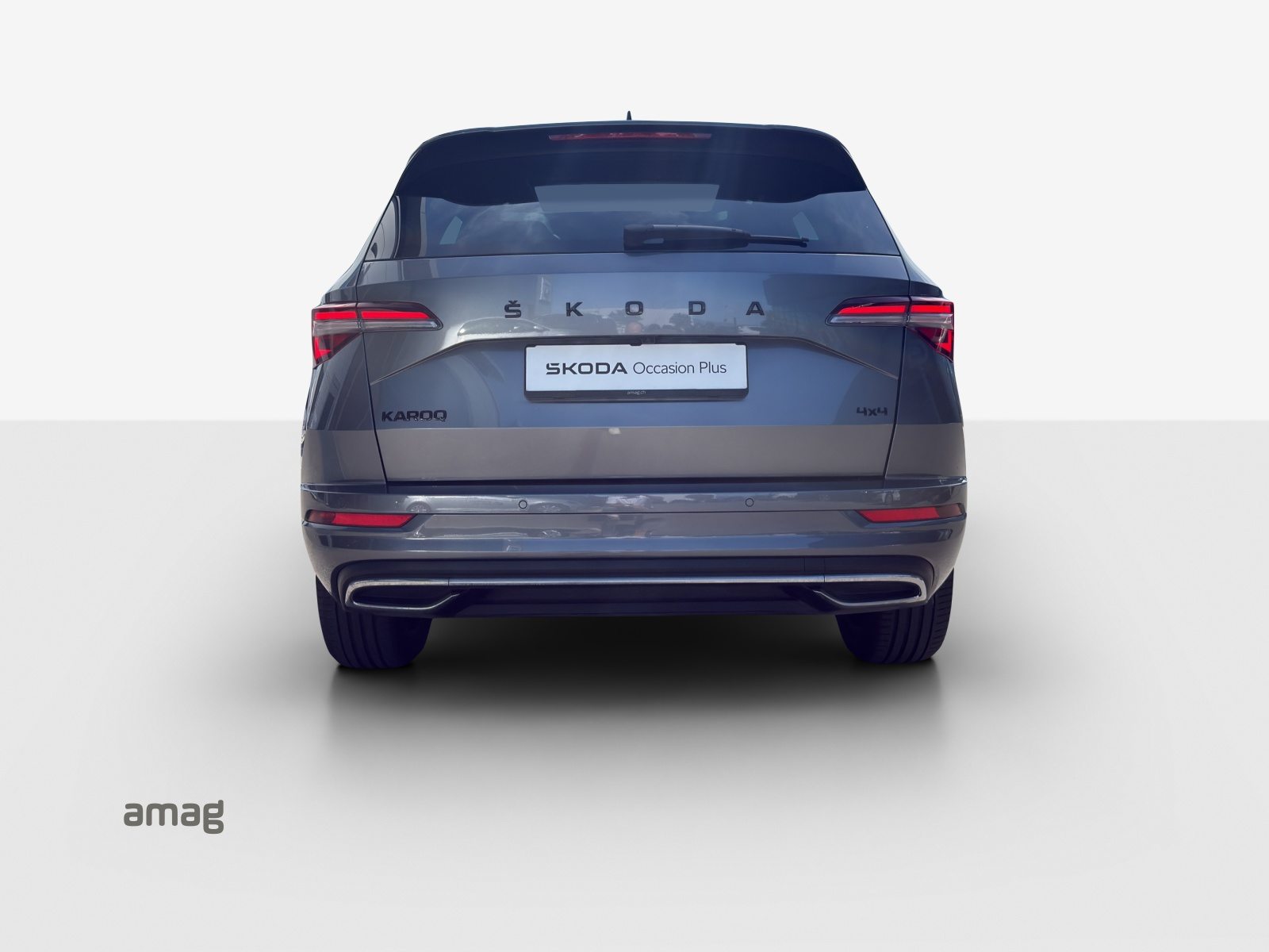SKODA NEW KAROQ SportLine, Benzina, Occasioni / Usate, Automatico - 4