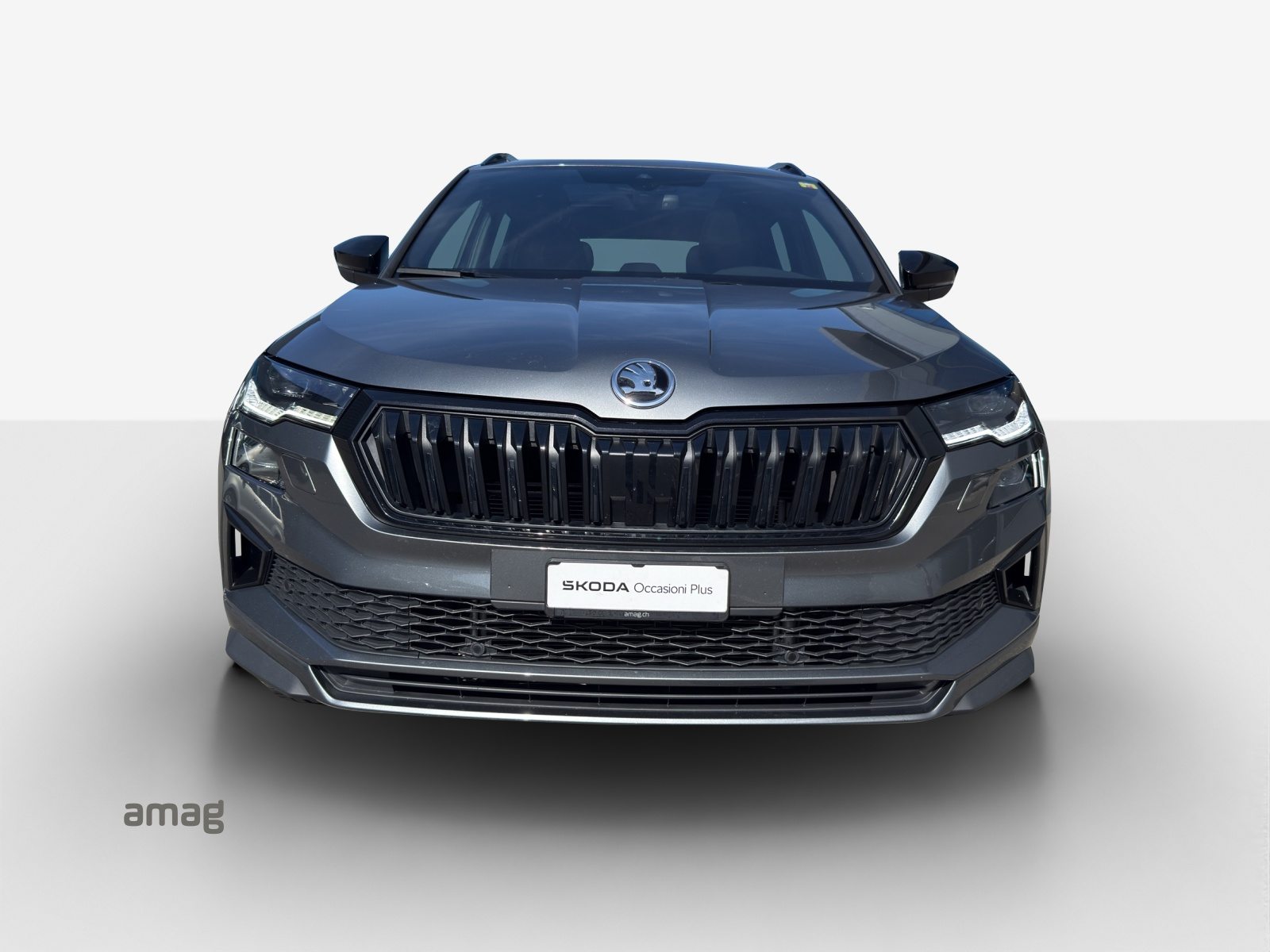 SKODA NEW KAROQ SportLine, Benzina, Occasioni / Usate, Automatico - 7