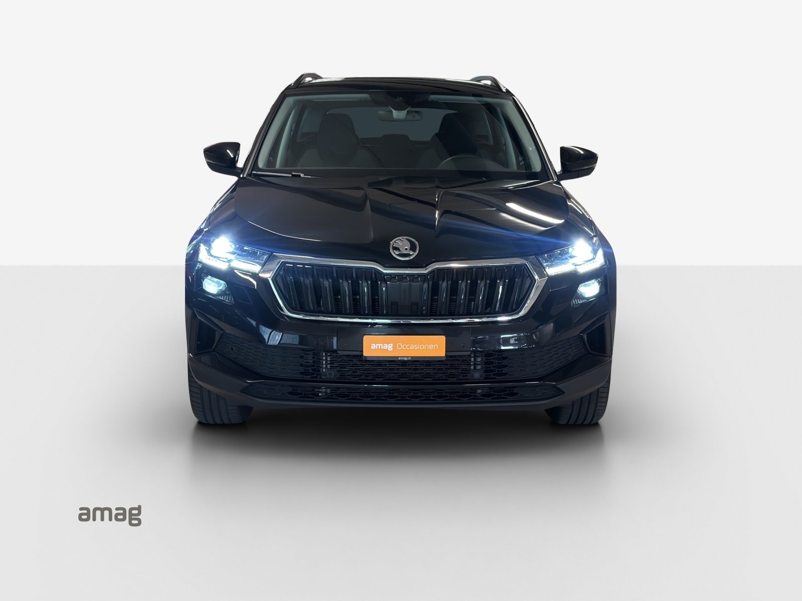 SKODA Karoq Style, Diesel, Occasion / Gebraucht, Automatik - 7