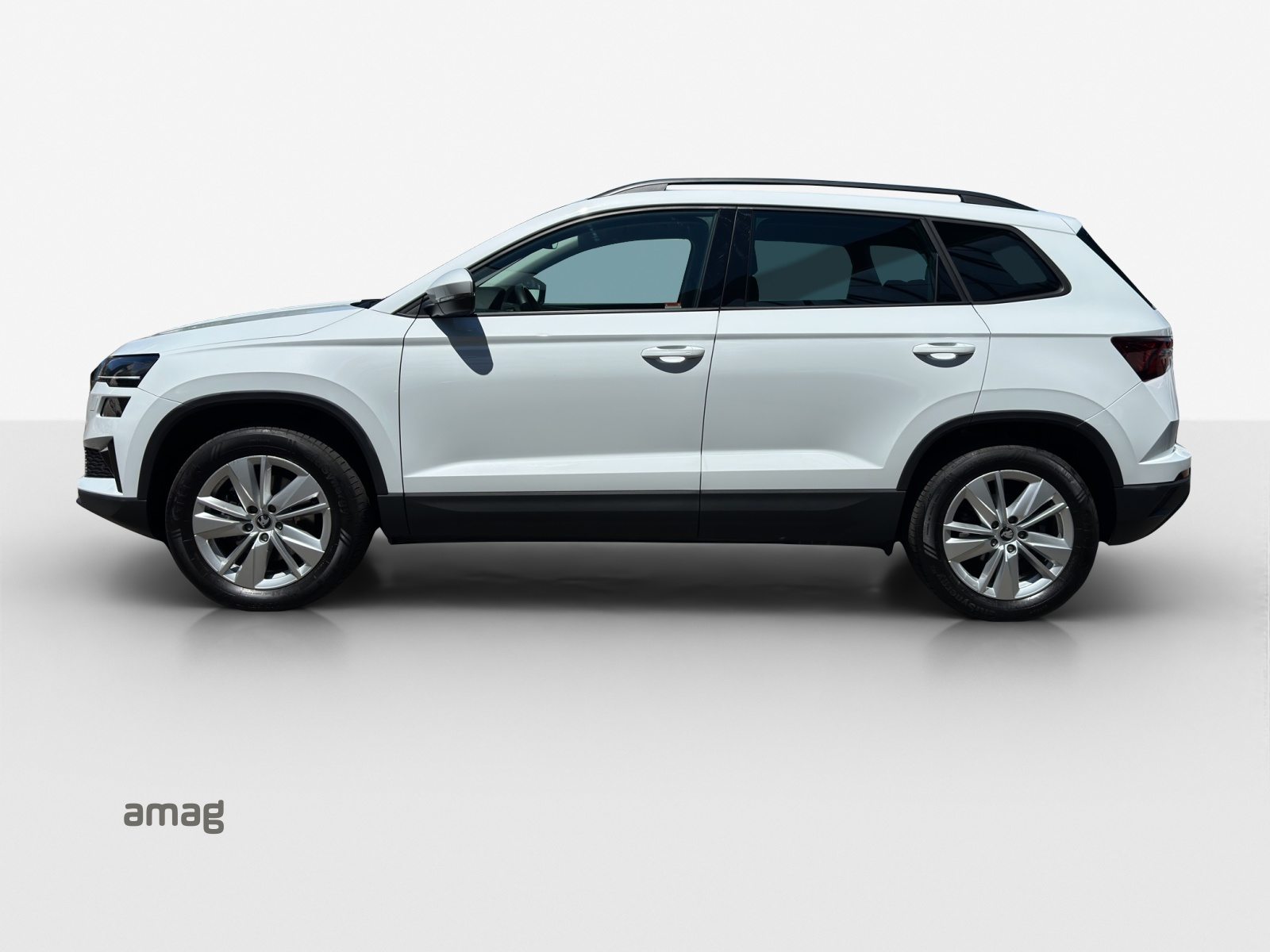 SKODA Karoq Selection, Diesel, Occasion / Utilisé, Automatique - 2