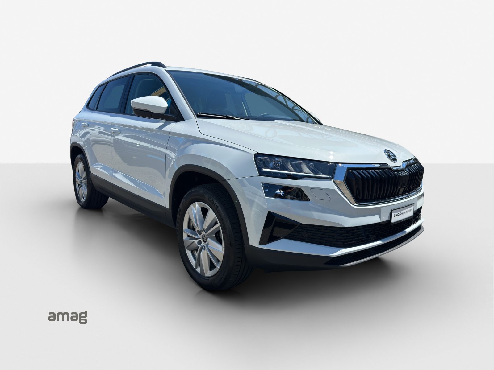 SKODA Karoq Selection, Diesel, Occasion / Utilisé, Automatique - 6