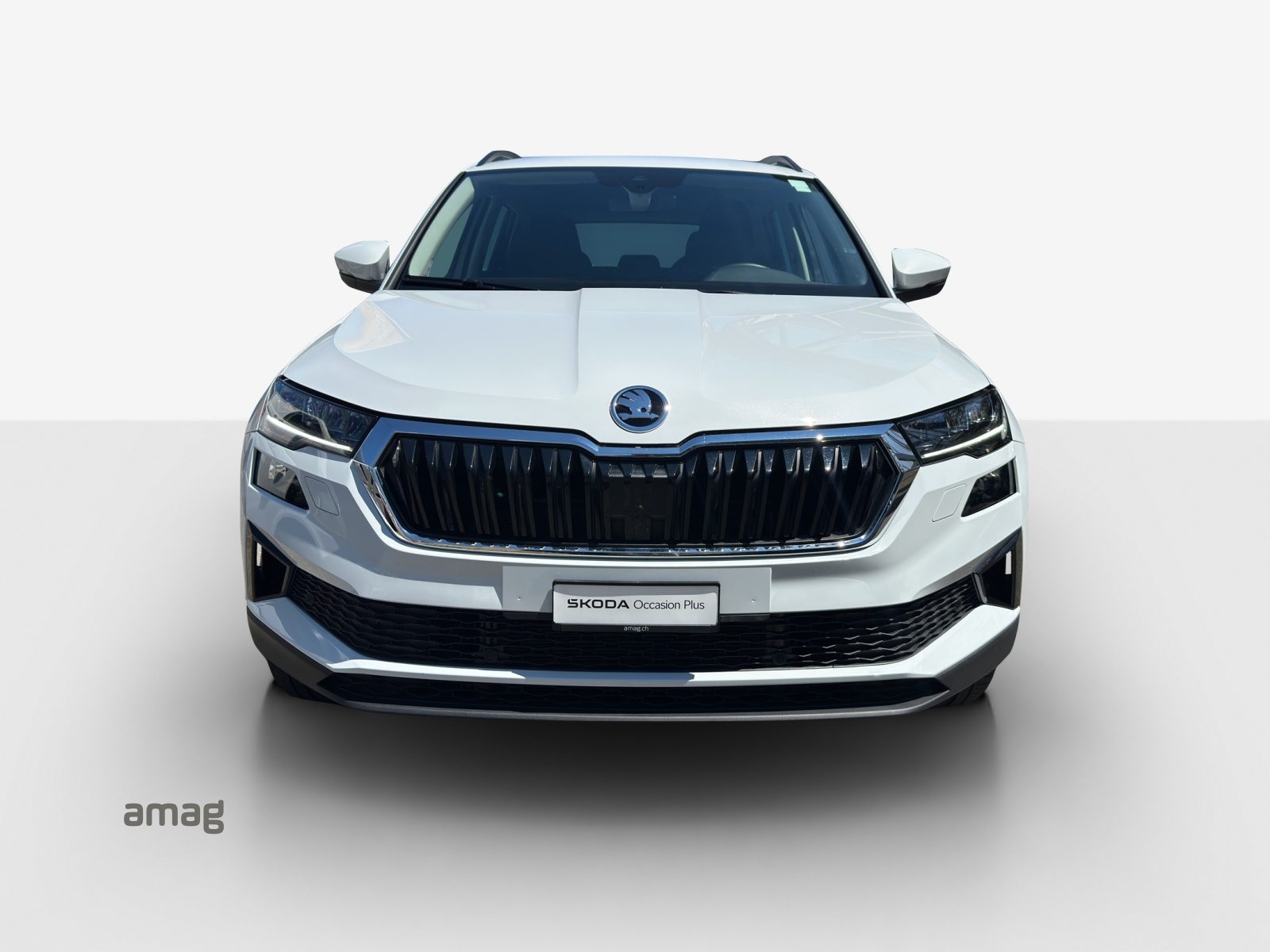 SKODA Karoq Selection, Diesel, Occasion / Utilisé, Automatique - 7