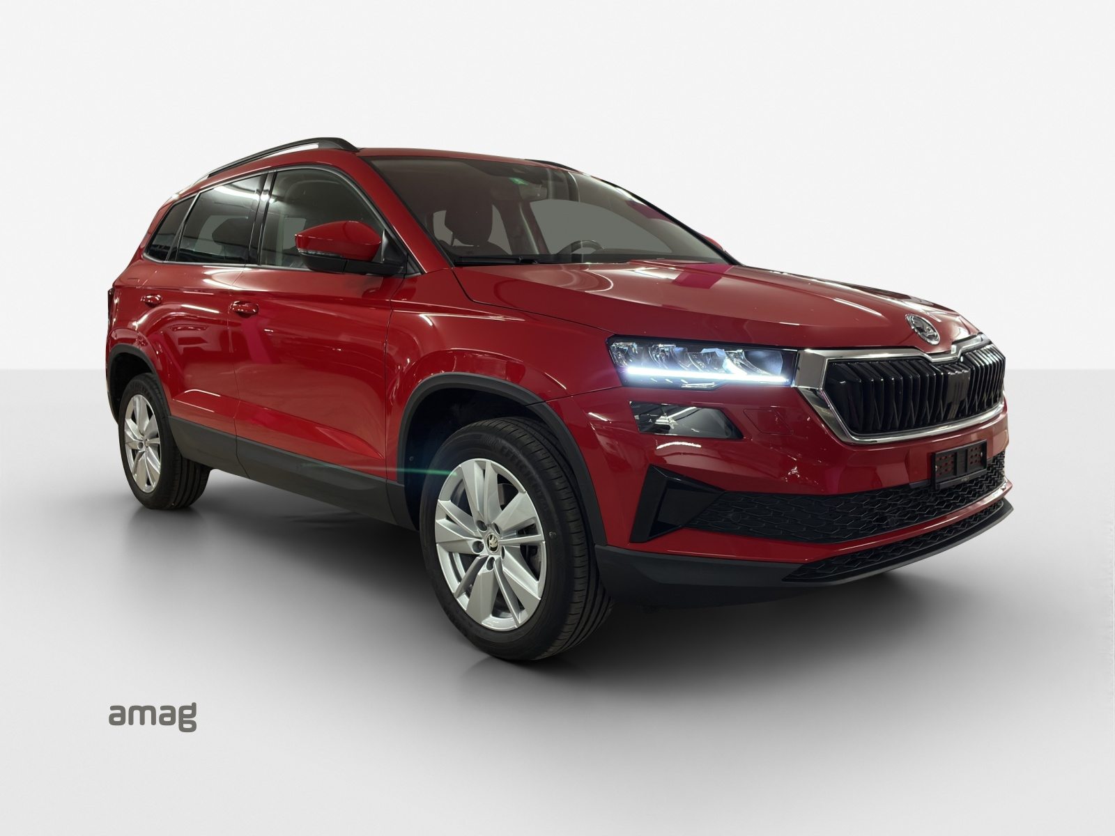 SKODA Karoq Selection, Benzin, Occasion / Gebraucht, Automatik - 6