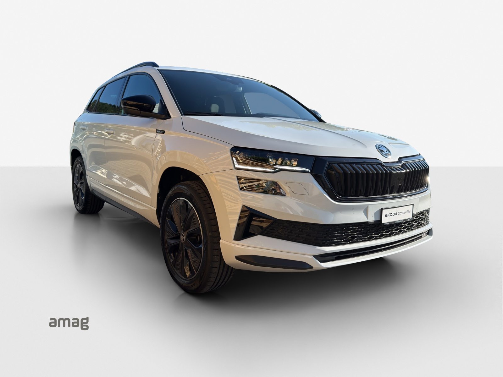 SKODA Karoq Sportline, Benzin, Occasion / Gebraucht, Automatik - 6