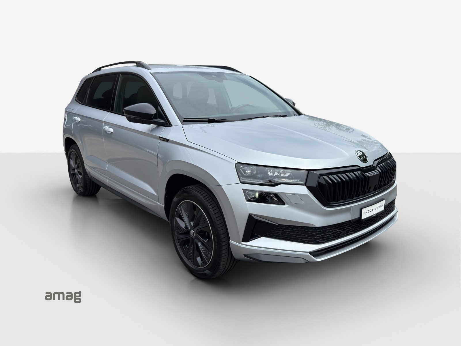 SKODA Karoq Sportline, Benzina, Occasioni / Usate, Automatico - 6