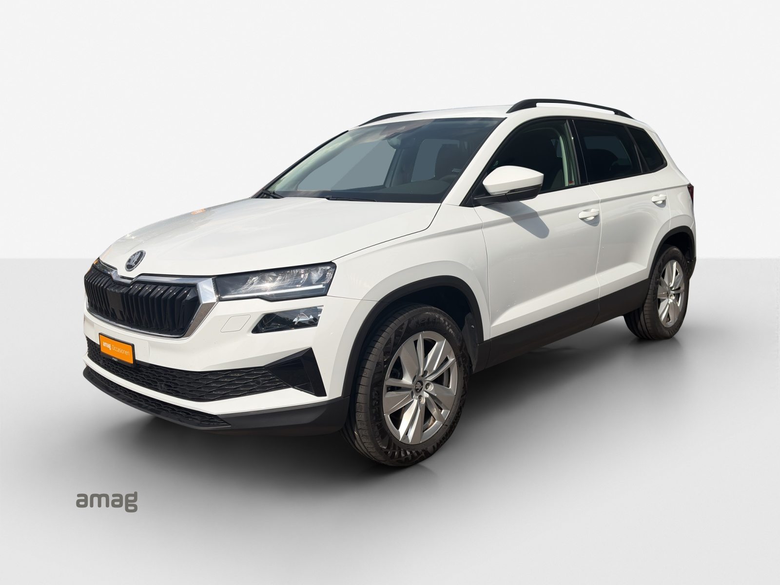 SKODA Karoq Selection