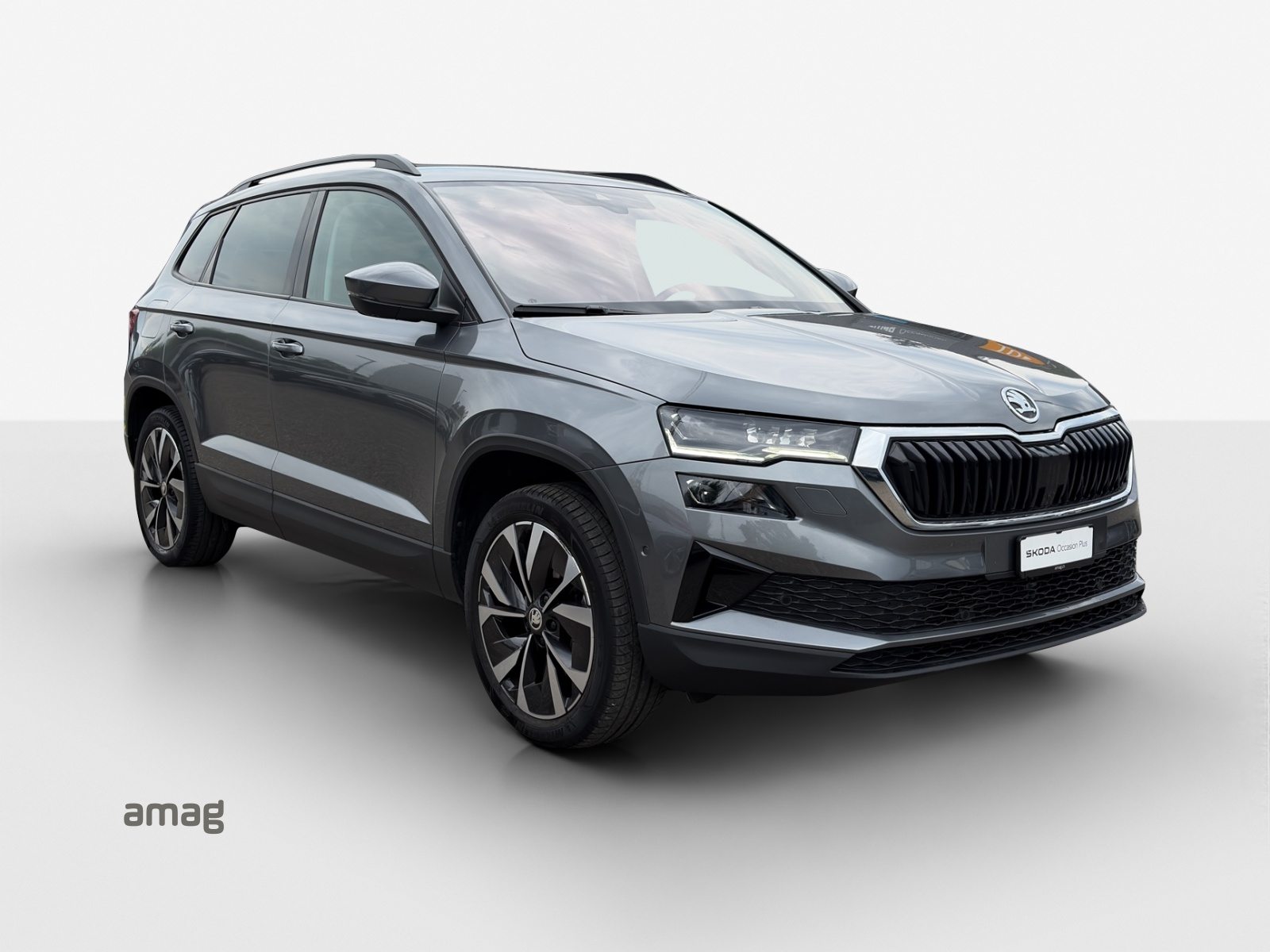 SKODA NEW KAROQ Style, Benzina, Occasioni / Usate, Automatico - 6