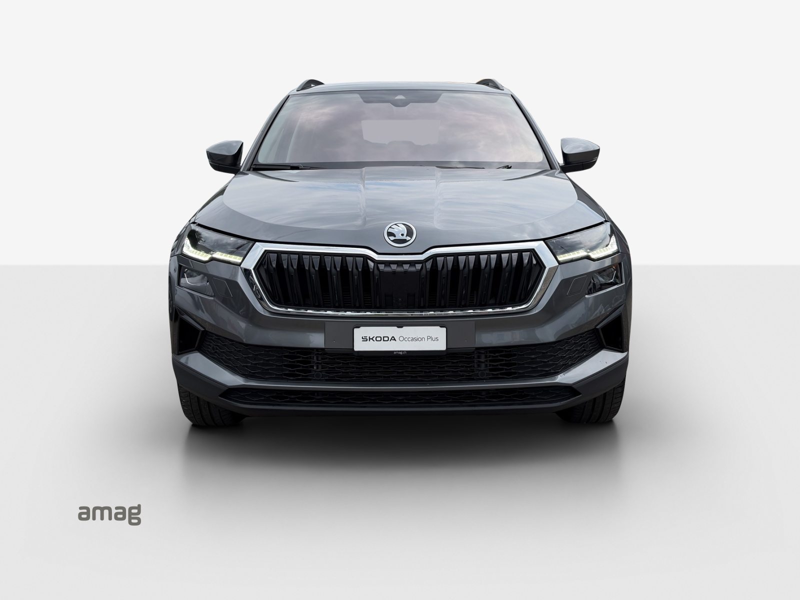 SKODA NEW KAROQ Style, Benzina, Occasioni / Usate, Automatico - 7