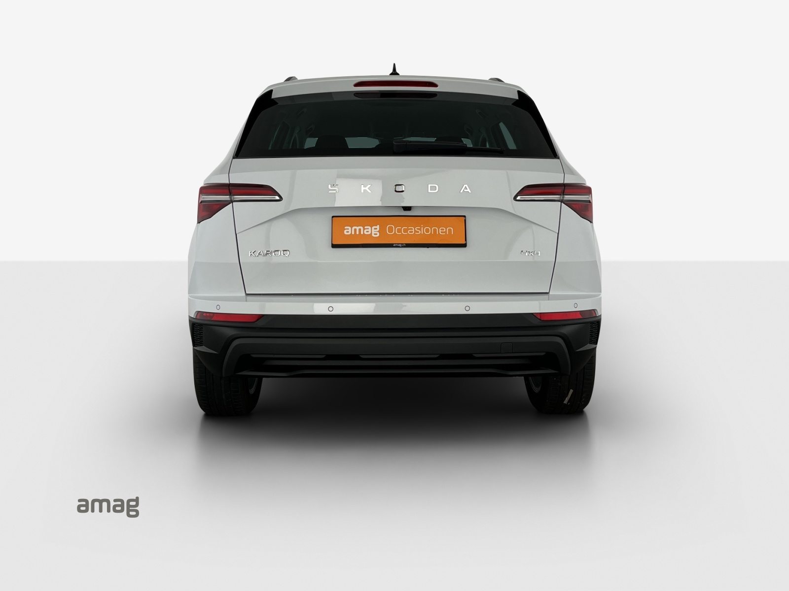 SKODA Karoq Selection, Diesel, Occasioni / Usate, Automatico - 4