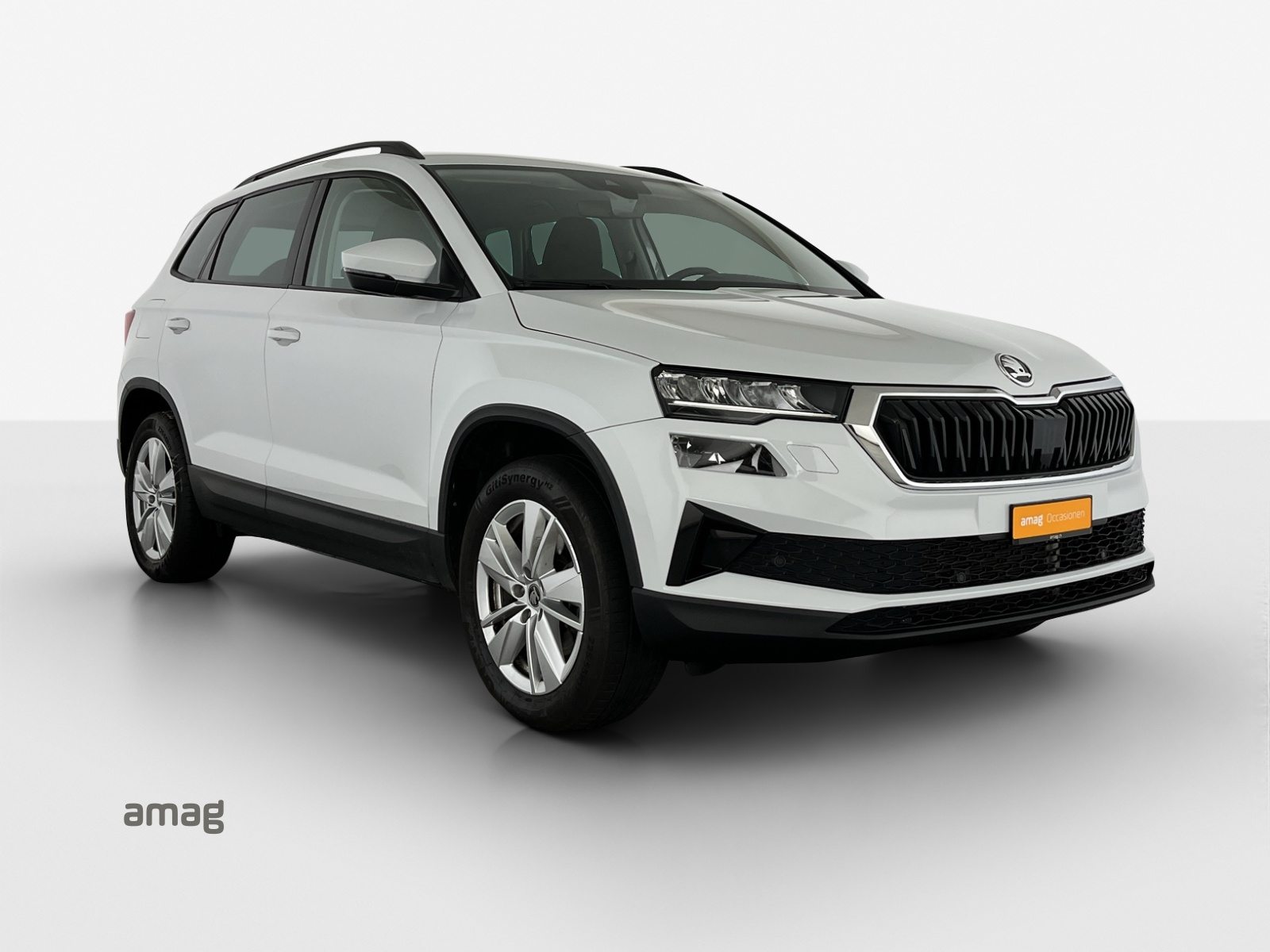 SKODA Karoq Selection, Diesel, Occasioni / Usate, Automatico - 6