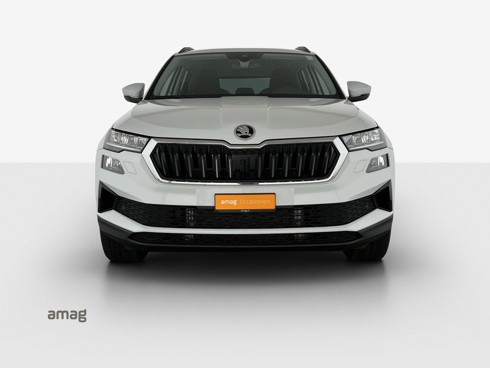 SKODA Karoq Selection, Diesel, Occasioni / Usate, Automatico - 7