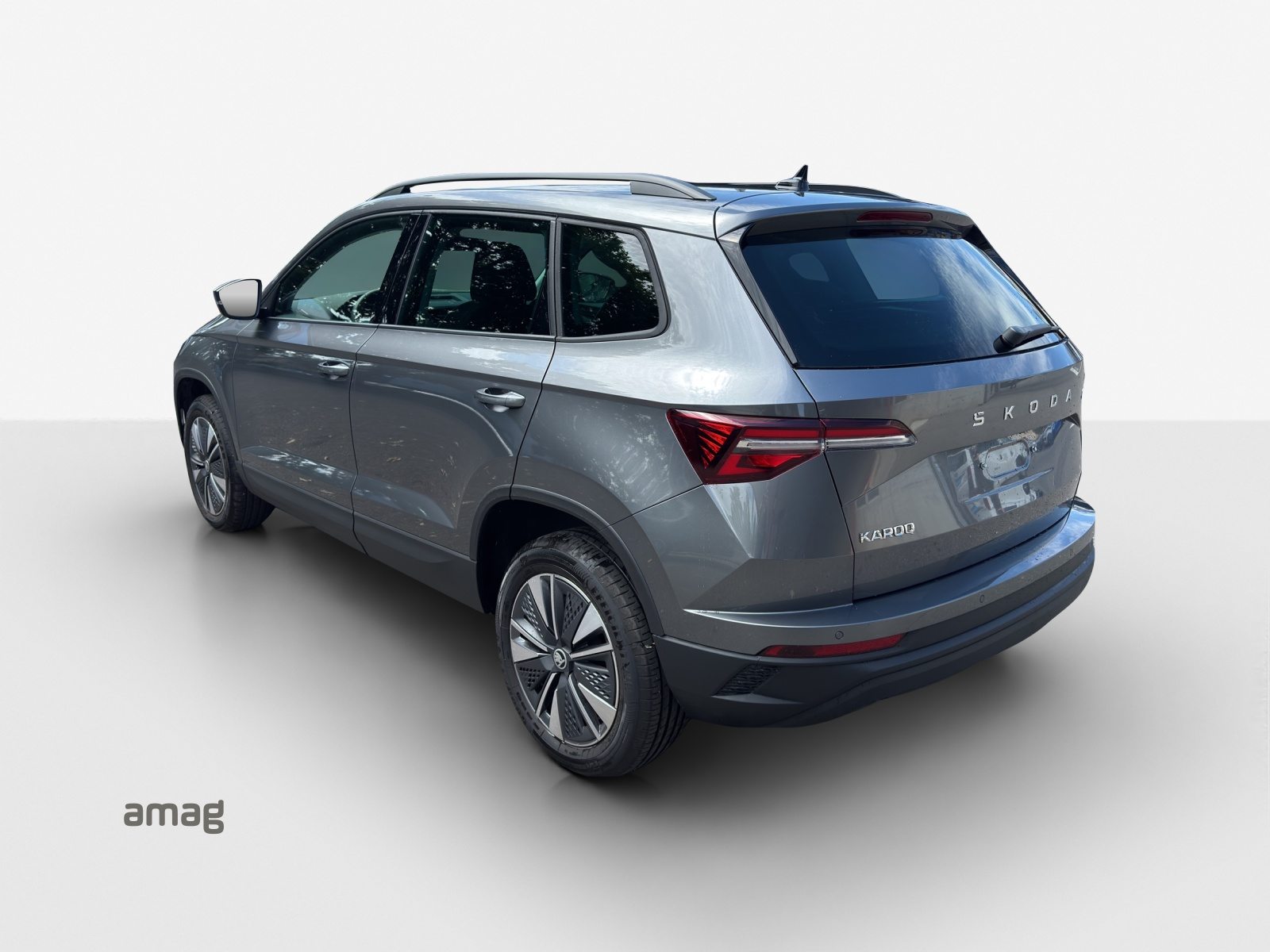 SKODA Karoq Dynamic (Netto), Benzina, Occasioni / Usate, Automatico - 3