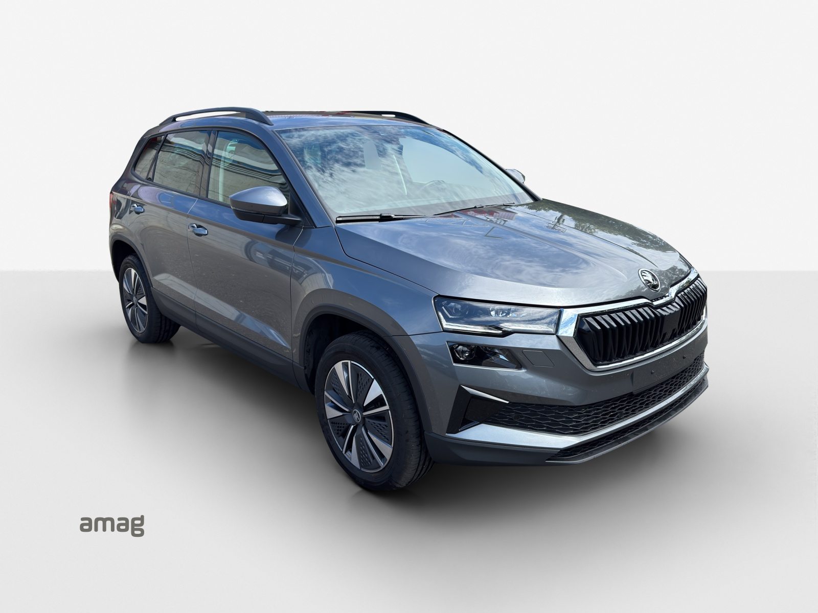 SKODA Karoq Dynamic (Netto), Benzina, Occasioni / Usate, Automatico - 6